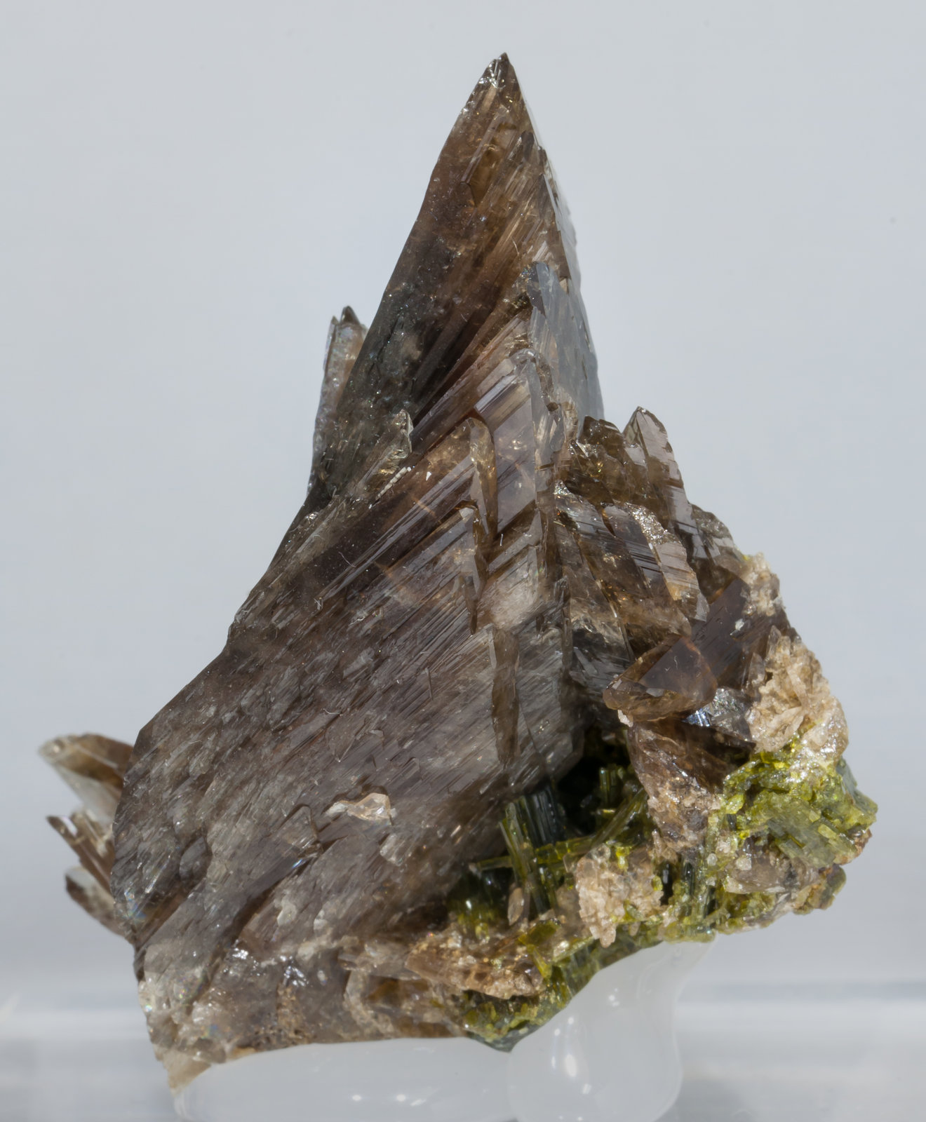 specimens/s_imagesAD1/Axinite-TG88AD1s.jpg