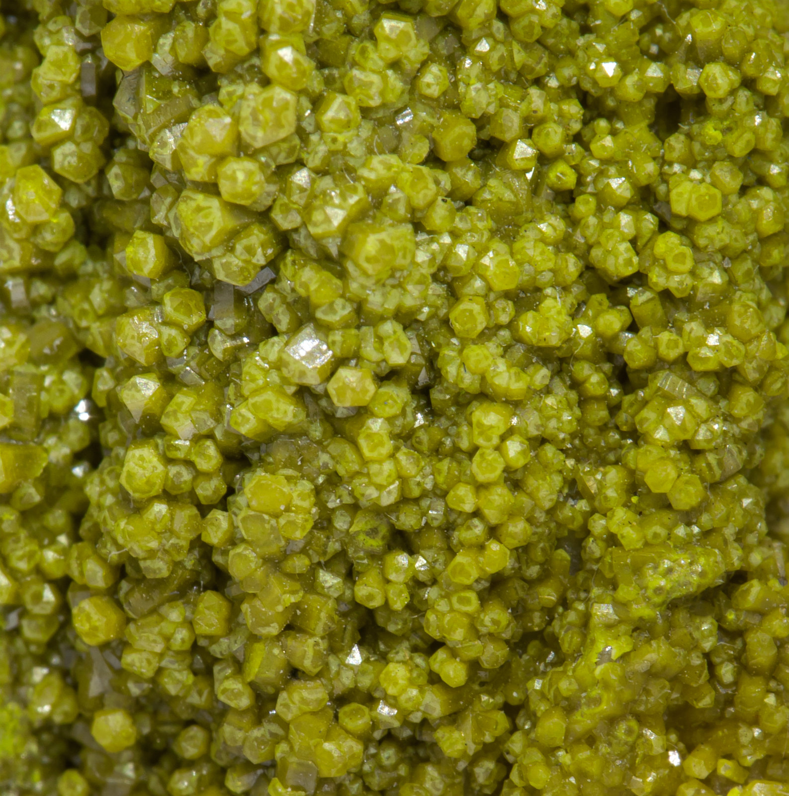 specimens/s_imagesAD1/Pyromorphite-MD67AD1d.jpg