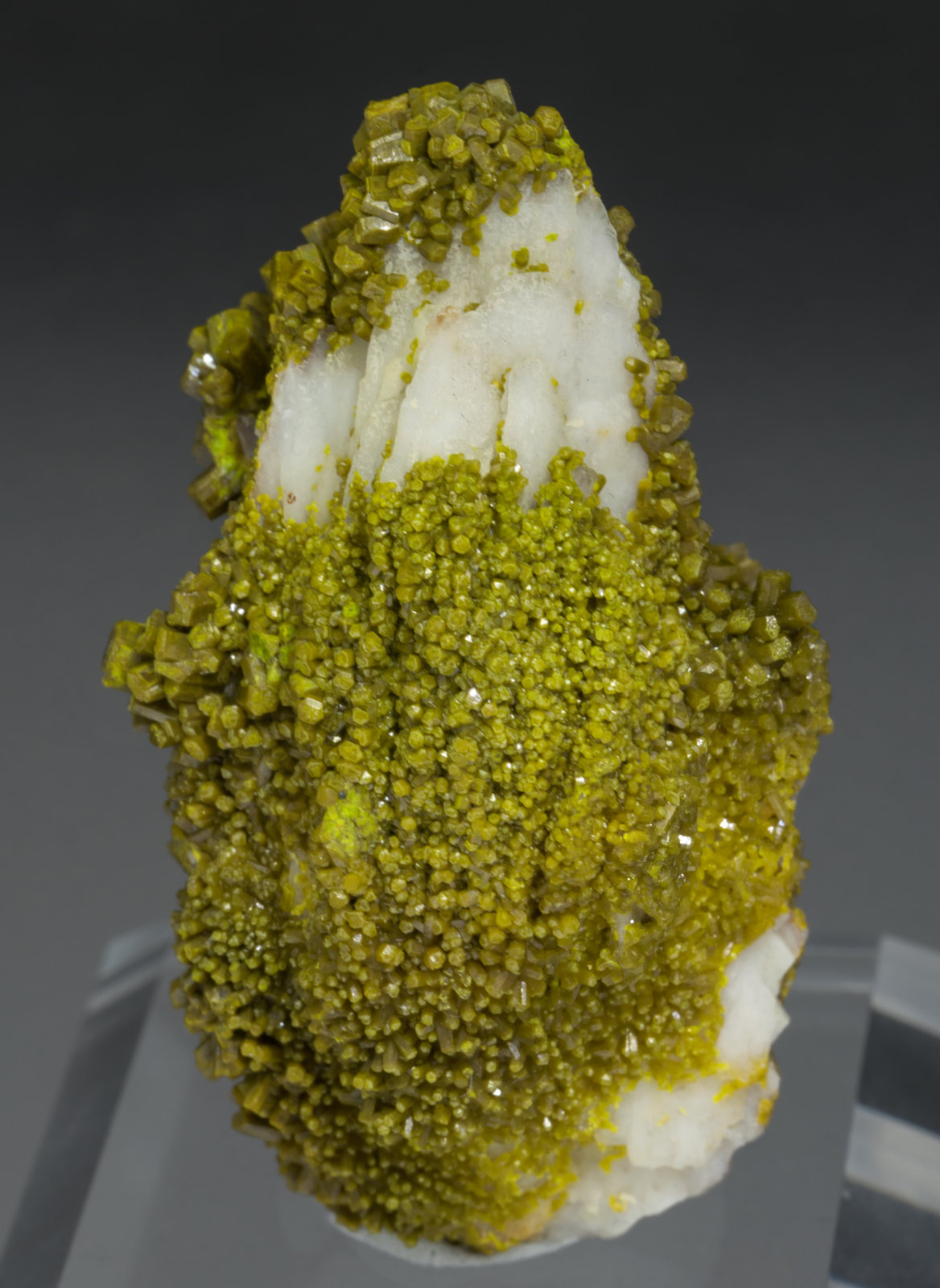 specimens/s_imagesAD1/Pyromorphite-MD67AD1f.jpg