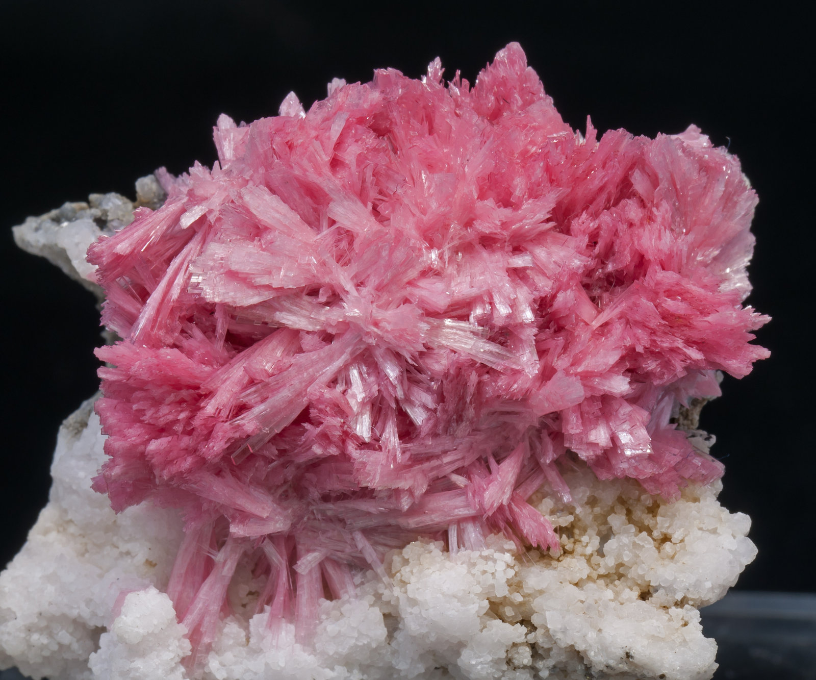 specimens/s_imagesAD1/Rhodonite-TQ52AD1d.jpg