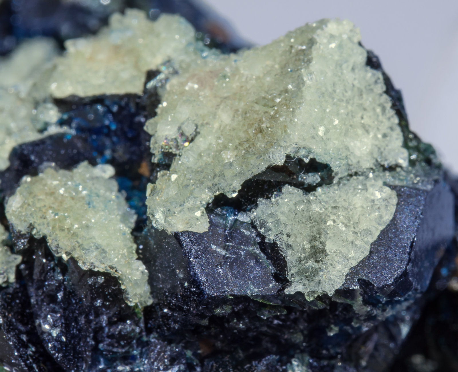 specimens/s_imagesAD2/Lazulite-MG87AD2d.jpg
