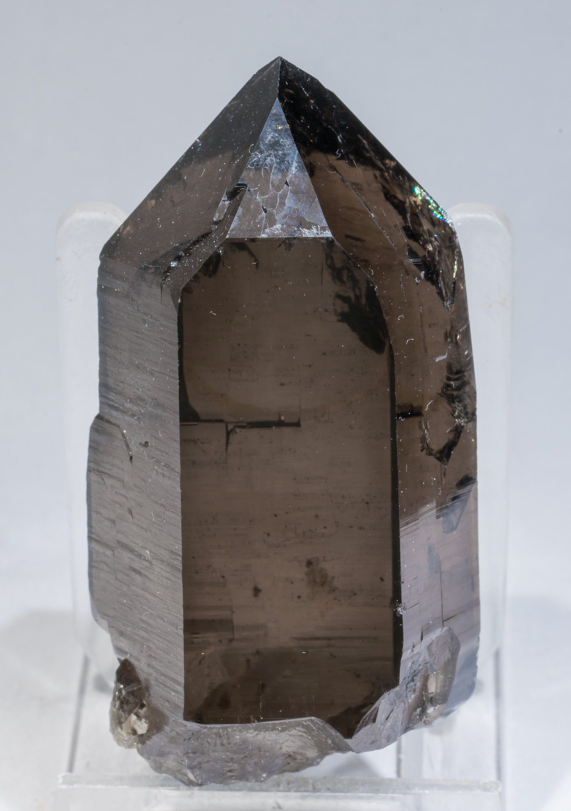 specimens/s_imagesAD2/Quartz_smoky-EX76AD2f.jpg
