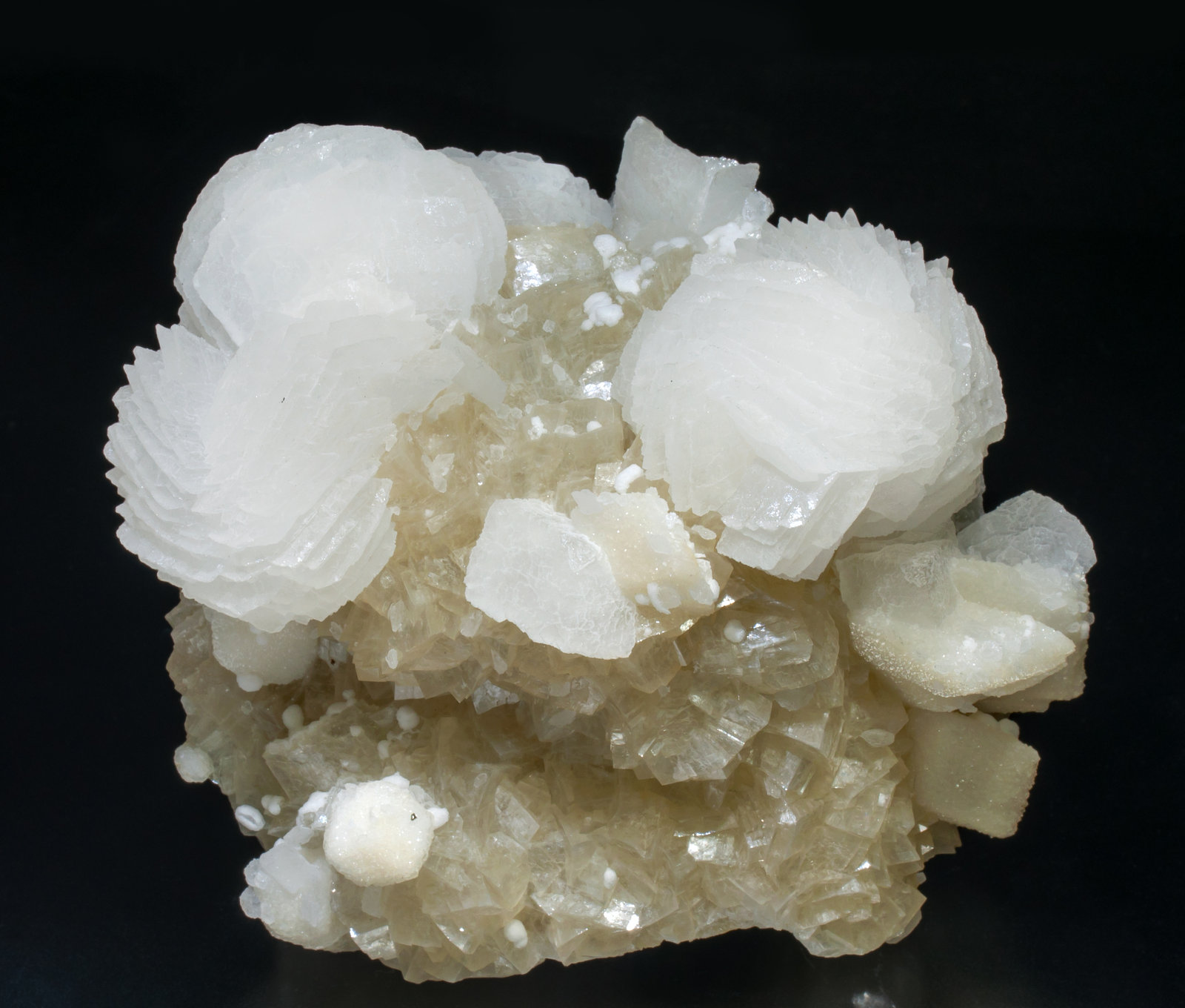 specimens/s_imagesAD3/Calcite-SQ97AD3f.jpg
