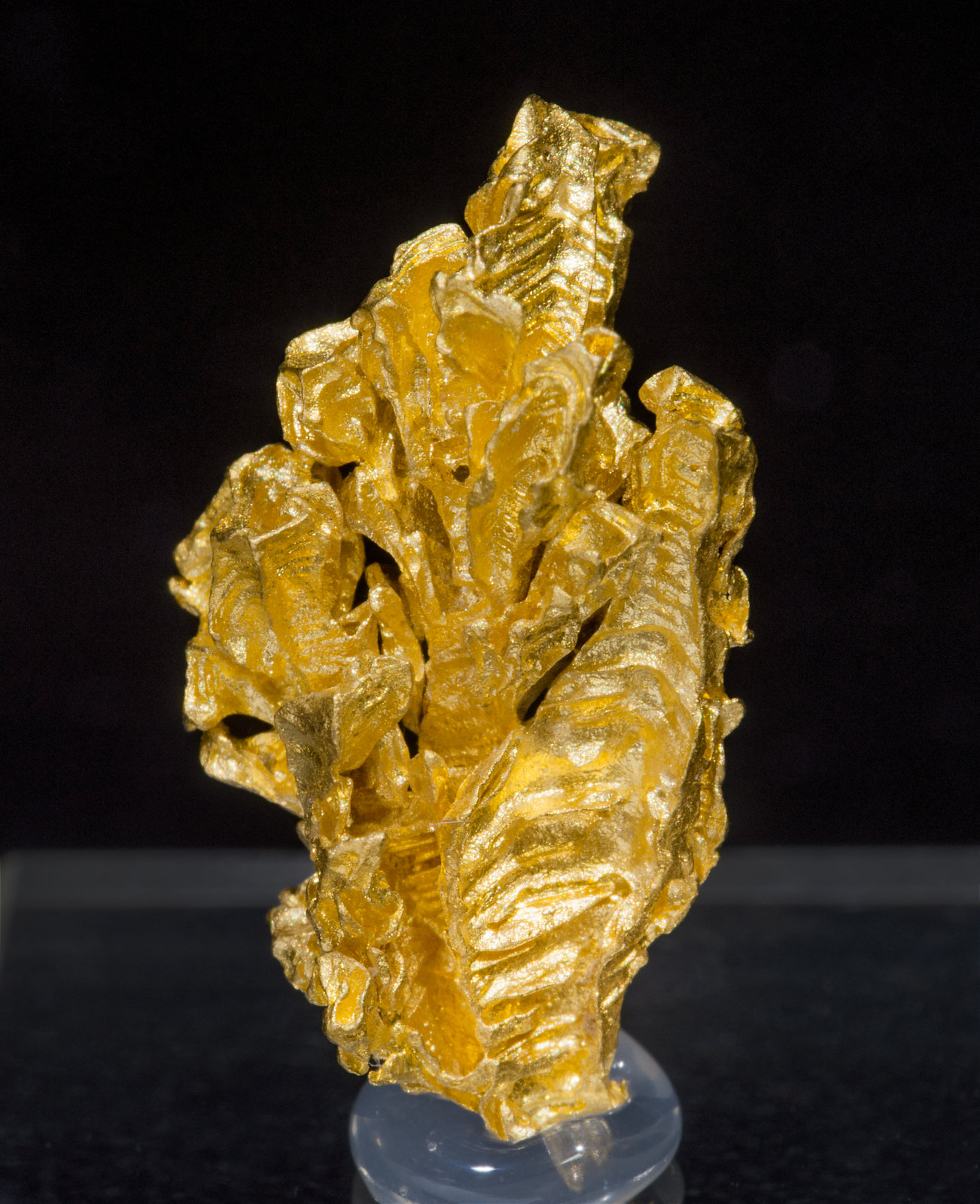 specimens/s_imagesAD3/Gold-TE12AD3f.jpg