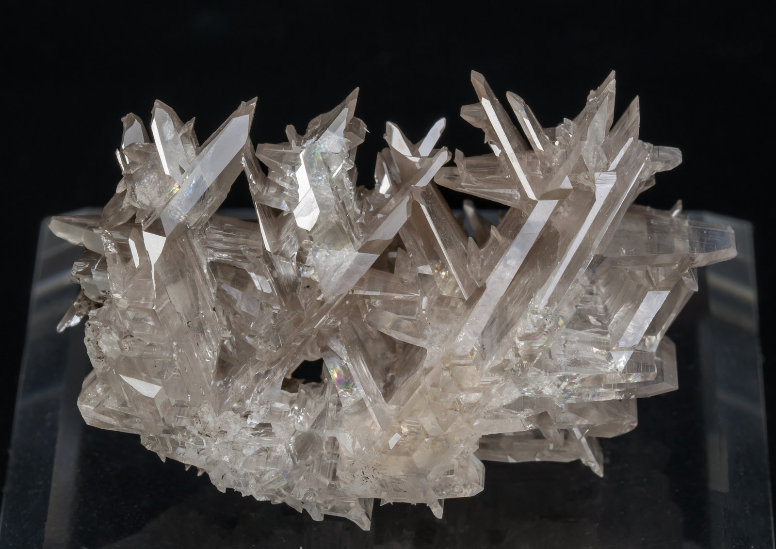 specimens/s_imagesAD4/Cerussite-TC47AD4f.jpg