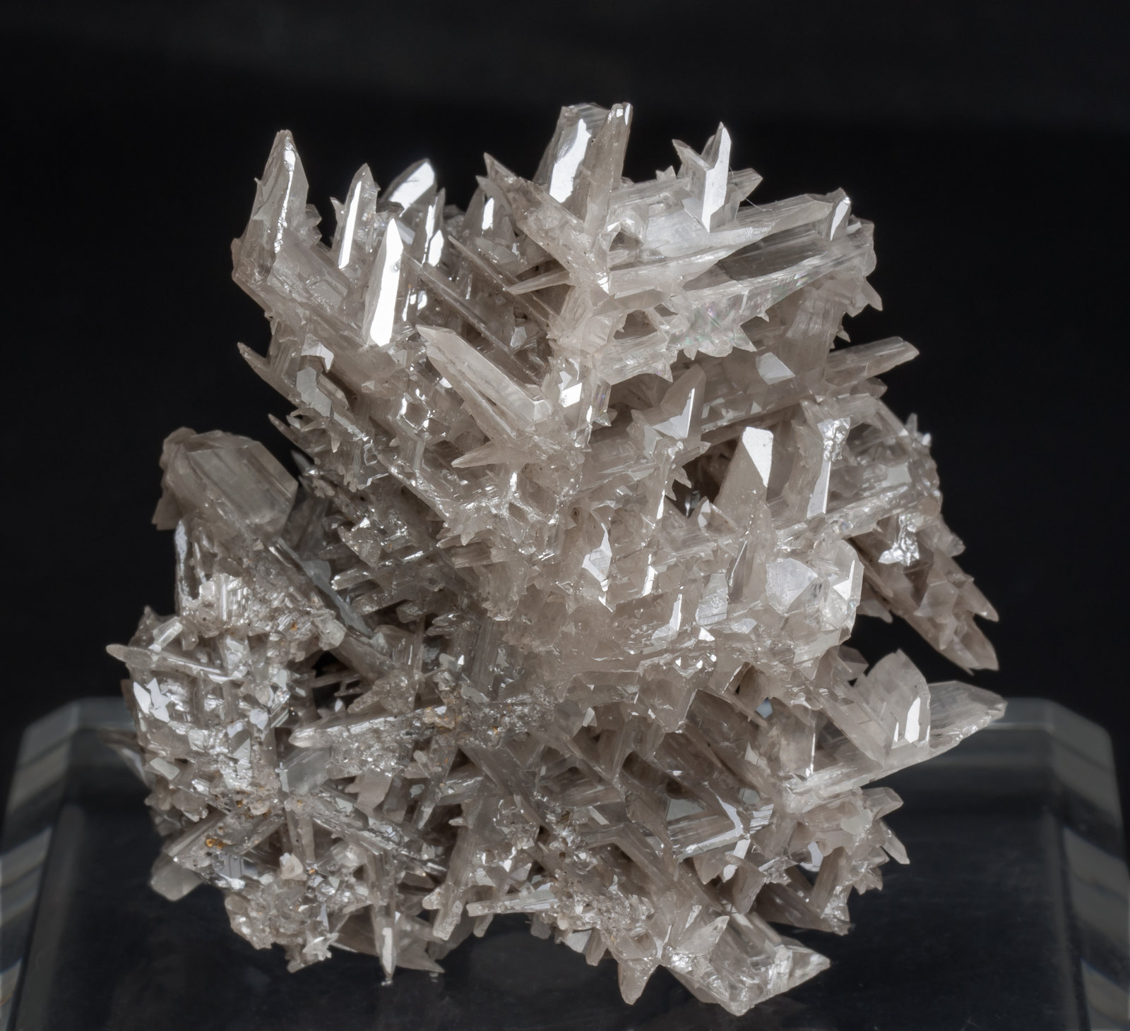 specimens/s_imagesAD4/Cerussite-TF88AD4f.jpg