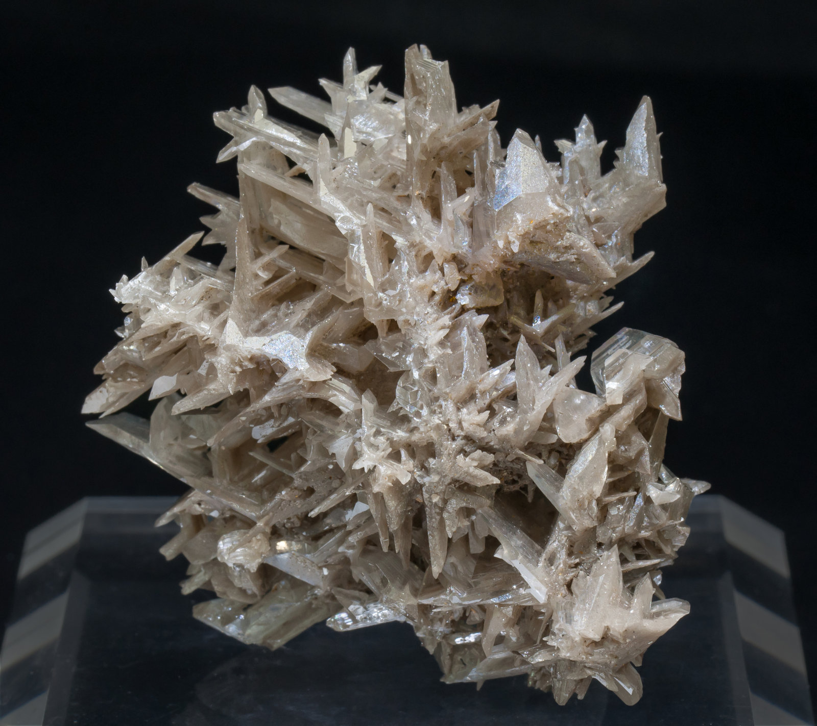 specimens/s_imagesAD4/Cerussite-TF88AD4r.jpg
