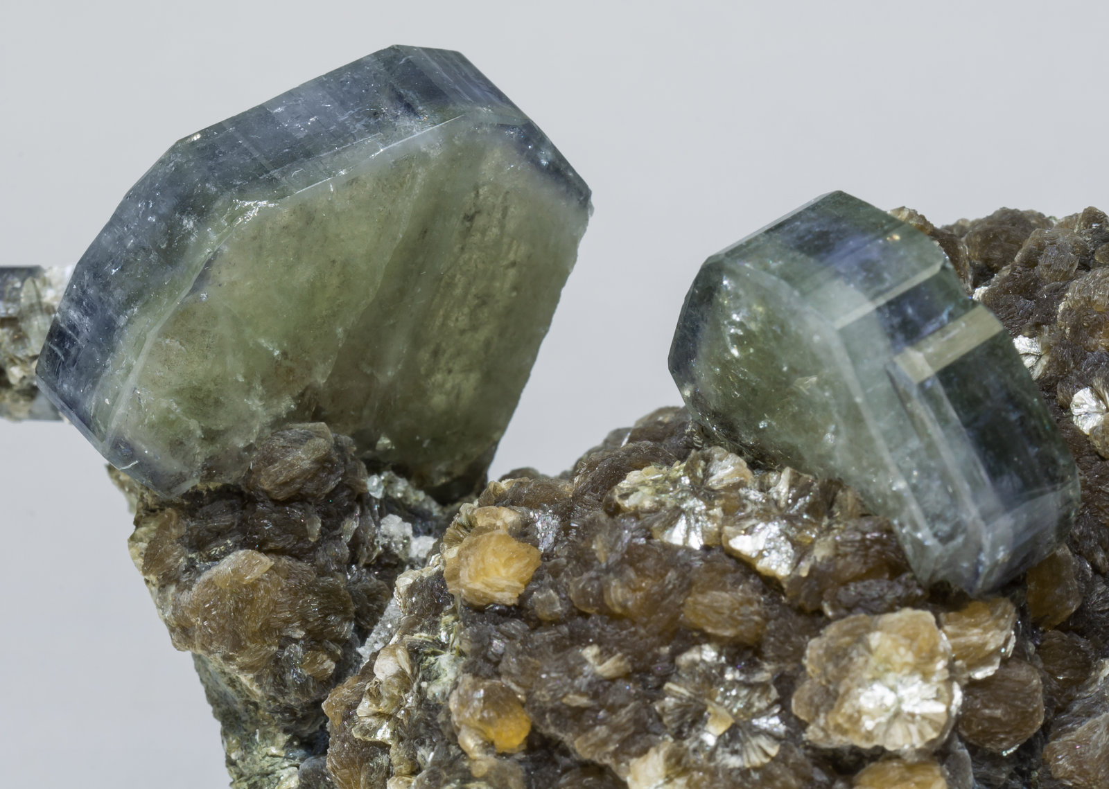 specimens/s_imagesAD4/Fluorapatite-ET26AD4d1.jpg