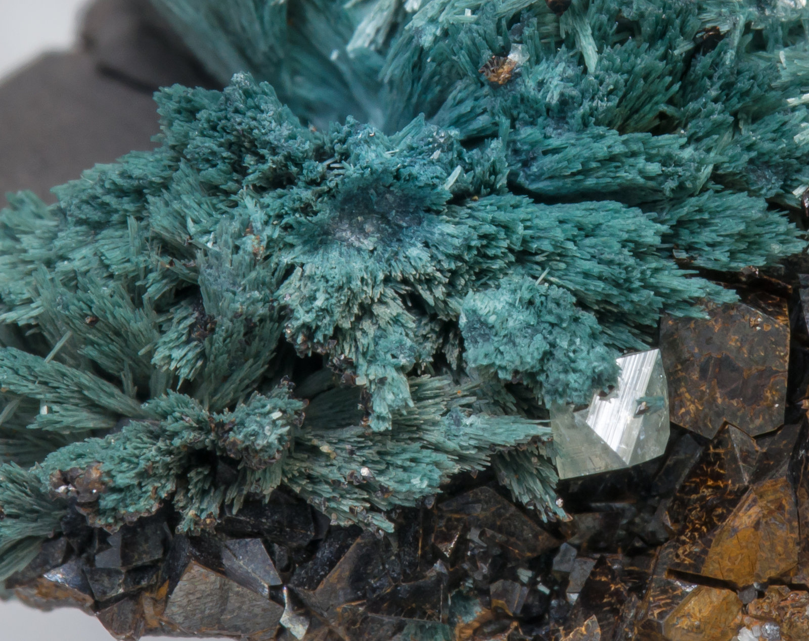specimens/s_imagesAD4/Gormanite-MF6AD4d.jpg