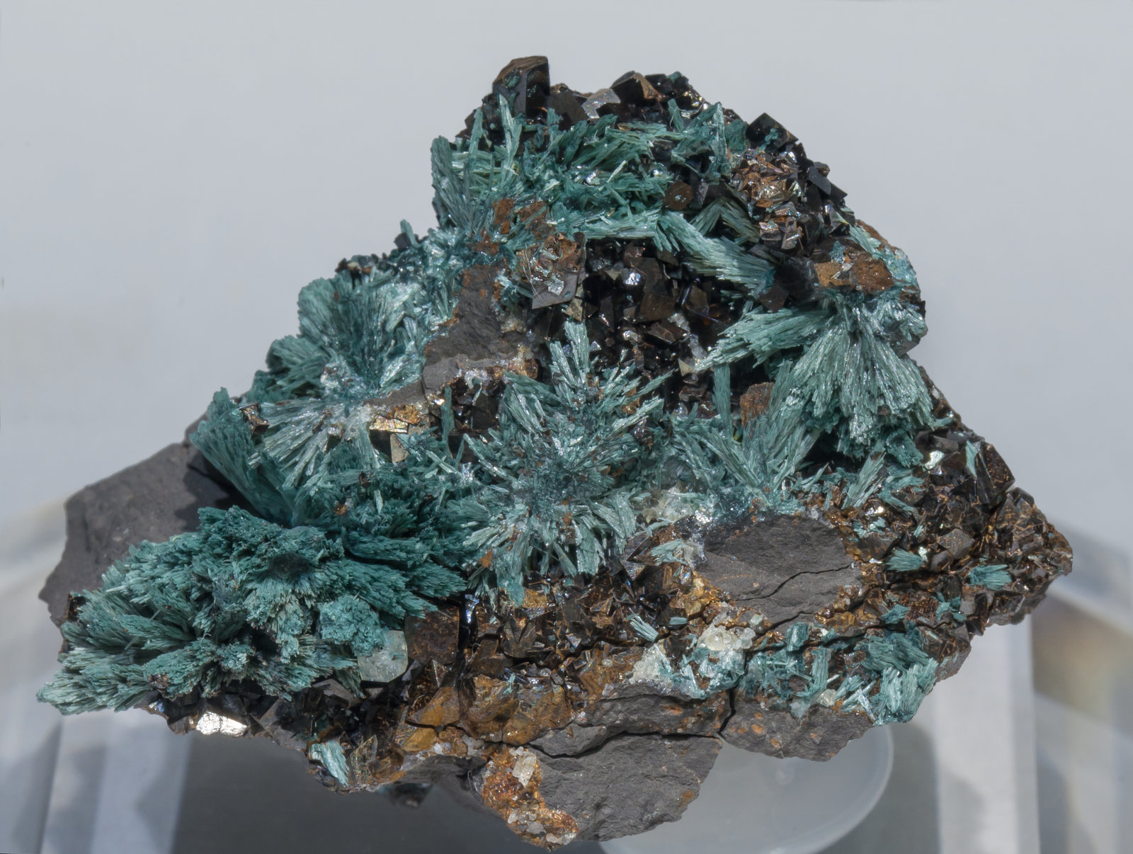 specimens/s_imagesAD4/Gormanite-MF6AD4f.jpg