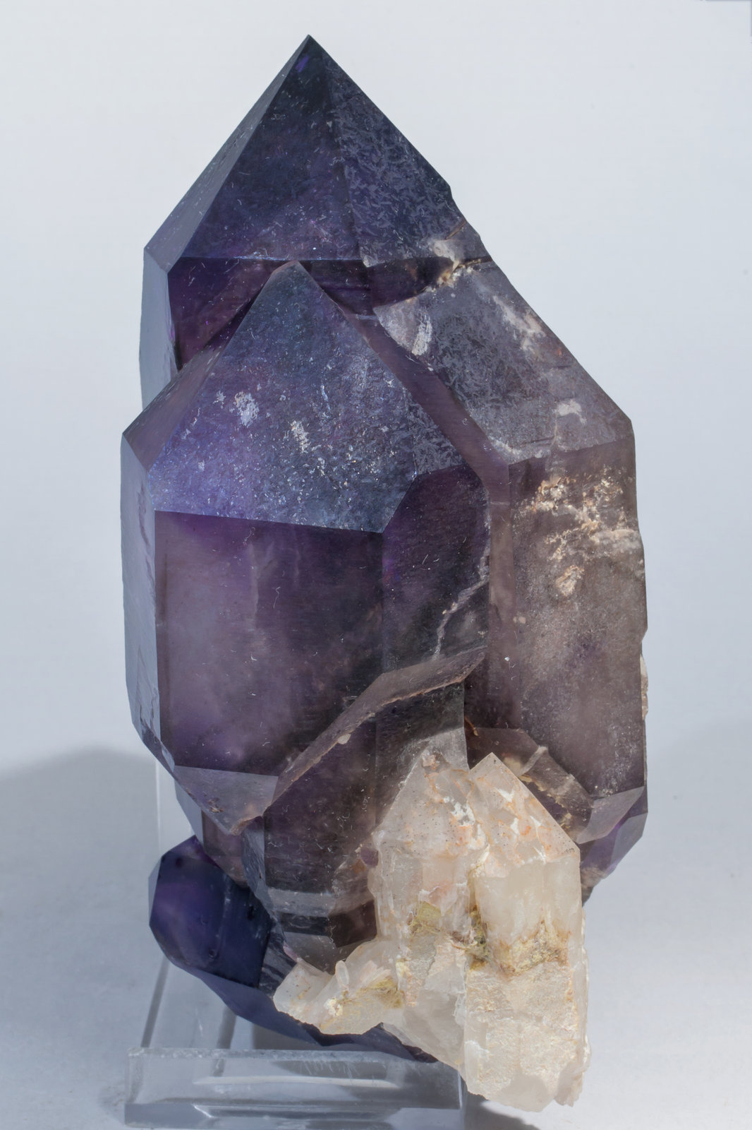 specimens/s_imagesAD4/Quartz_amethyst-EA49AD4s.jpg