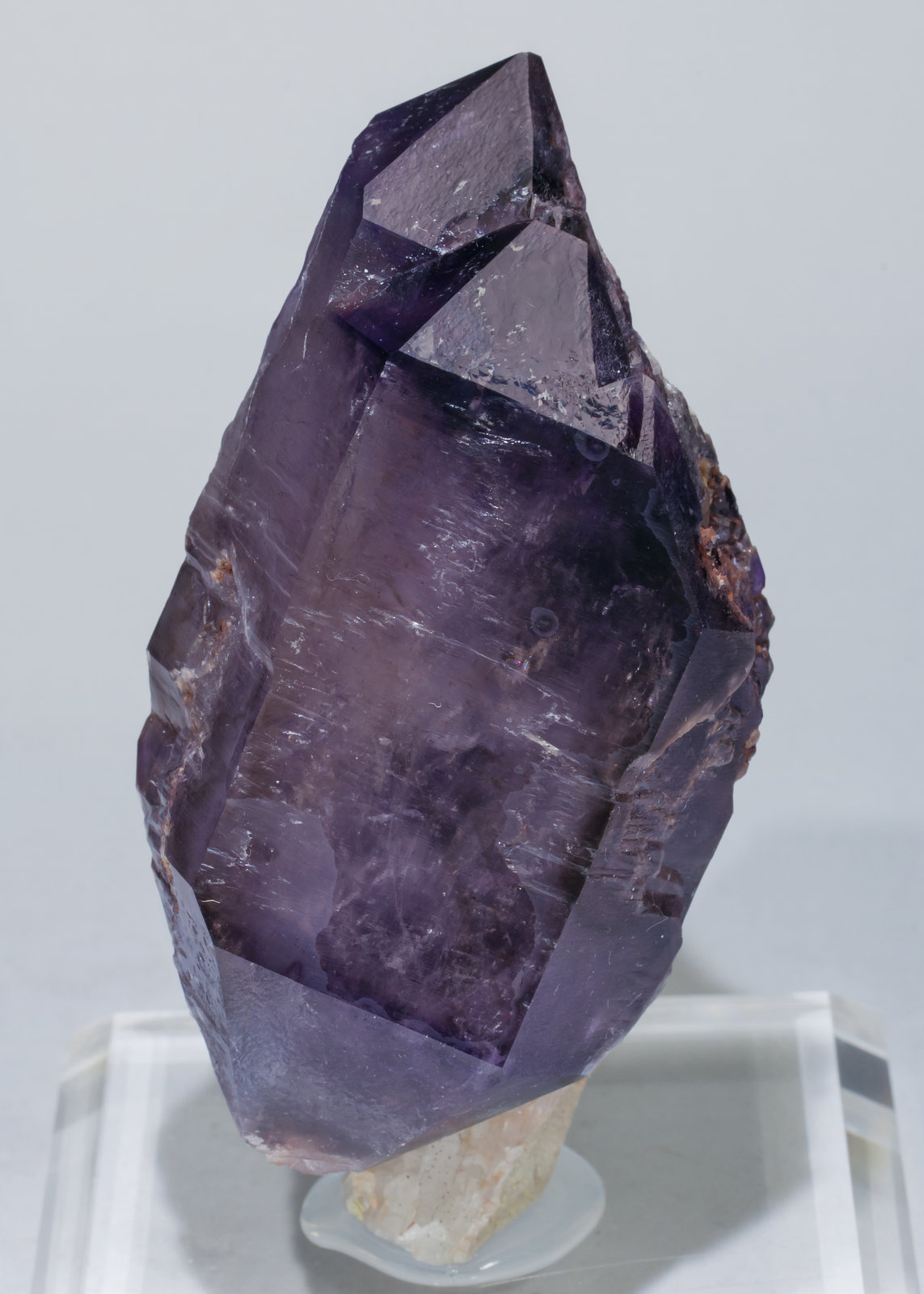 specimens/s_imagesAD4/Quartz_amethyst-EE17AD4f.jpg