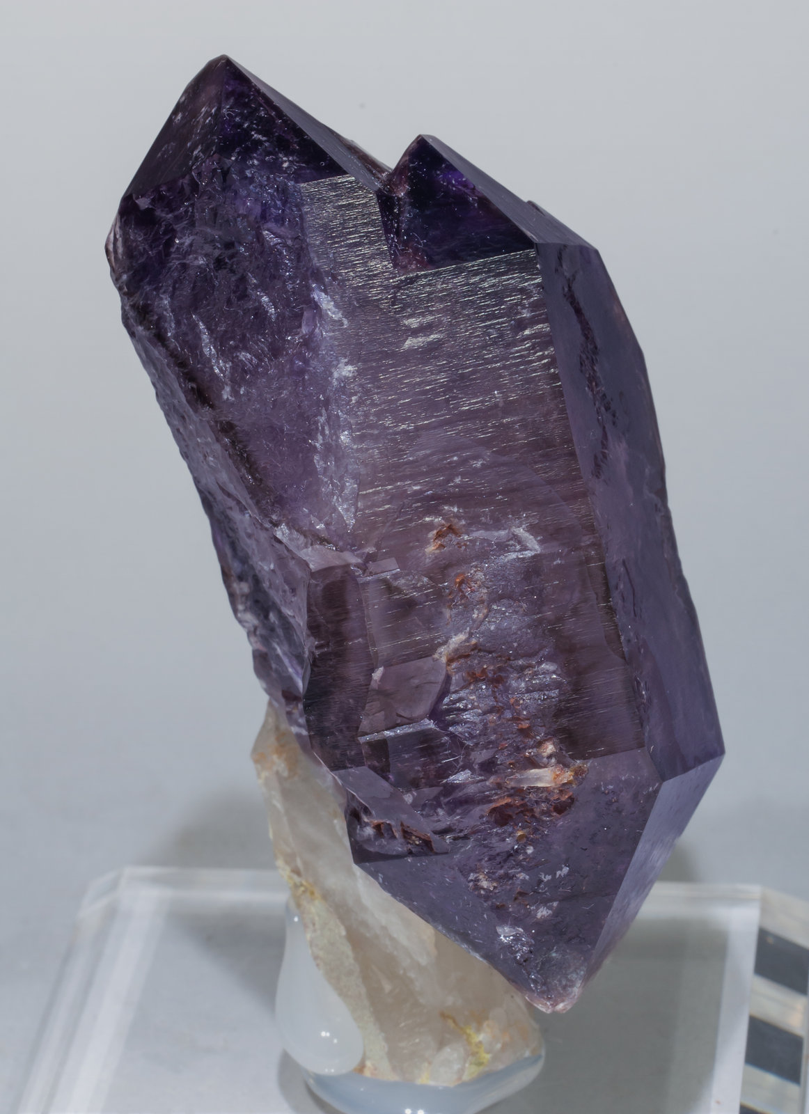 specimens/s_imagesAD4/Quartz_amethyst-EE17AD4s1.jpg