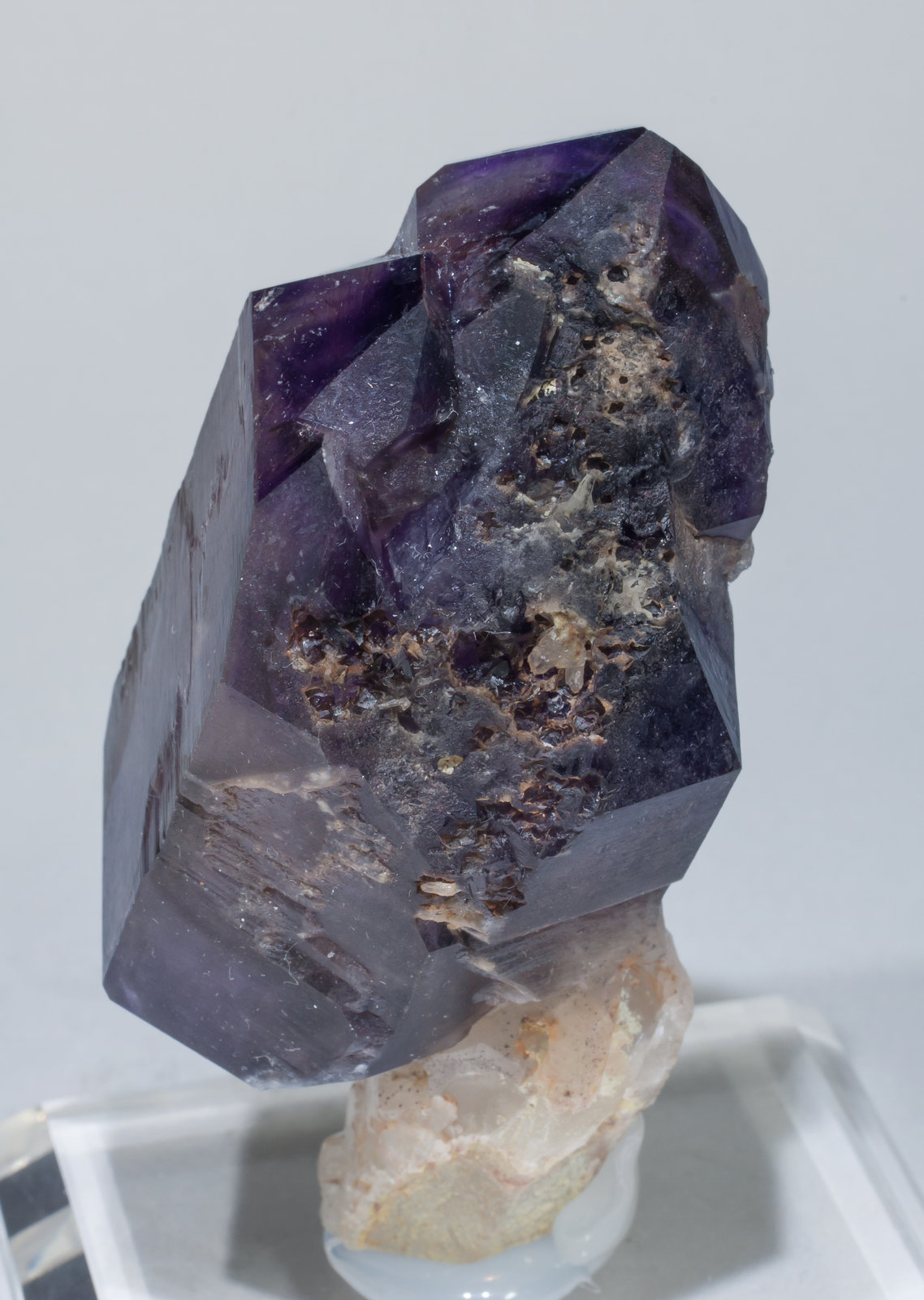 specimens/s_imagesAD4/Quartz_amethyst-EE17AD4s2.jpg