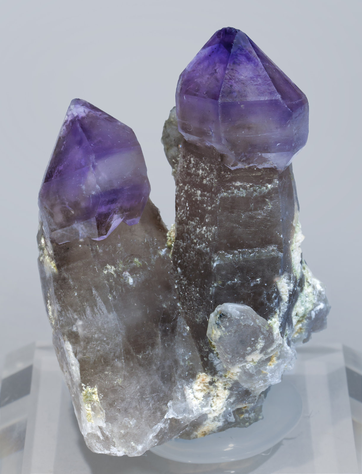 specimens/s_imagesAD4/Quartz_amethyst-GF49AD4f.jpg