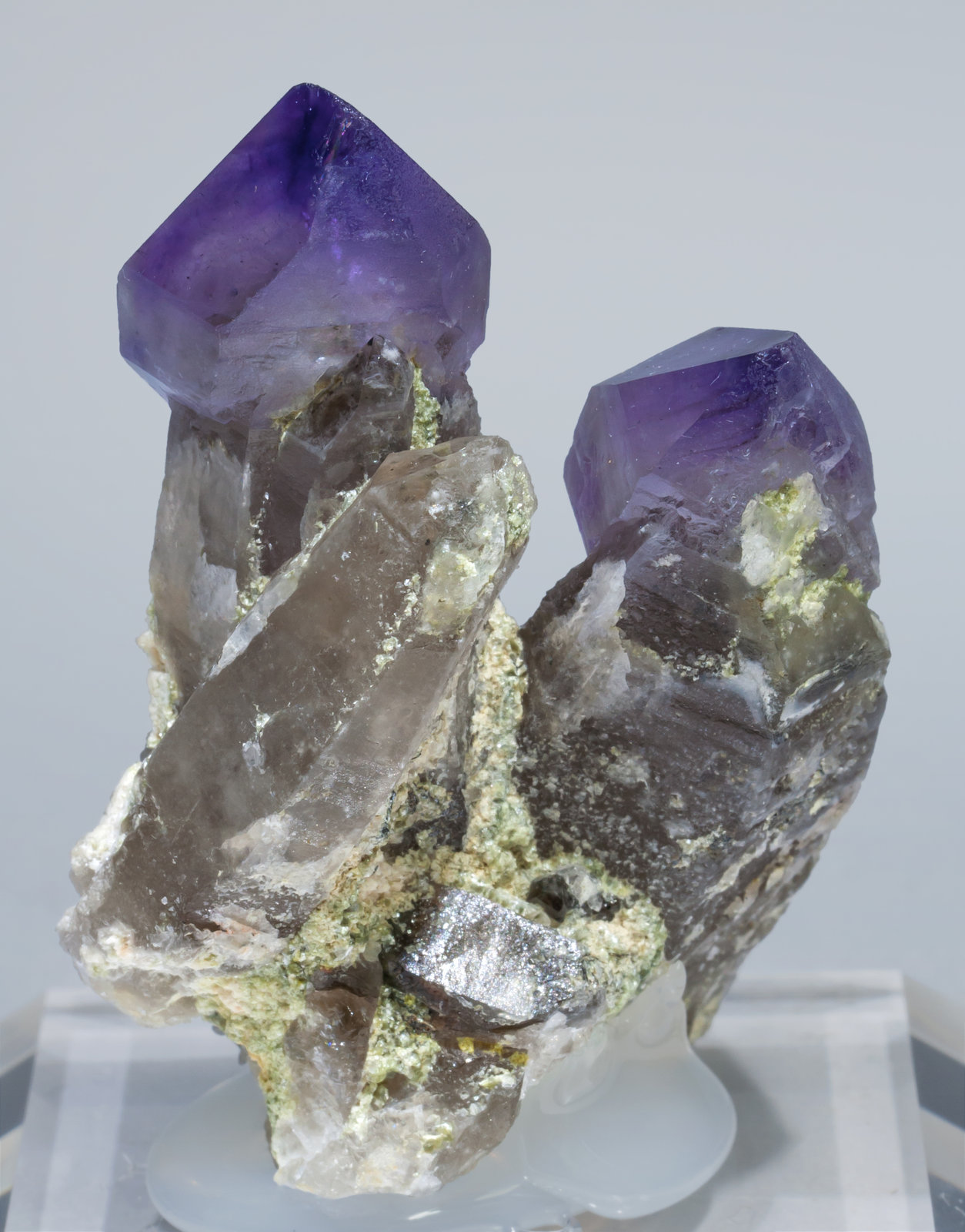 specimens/s_imagesAD4/Quartz_amethyst-GF49AD4r.jpg