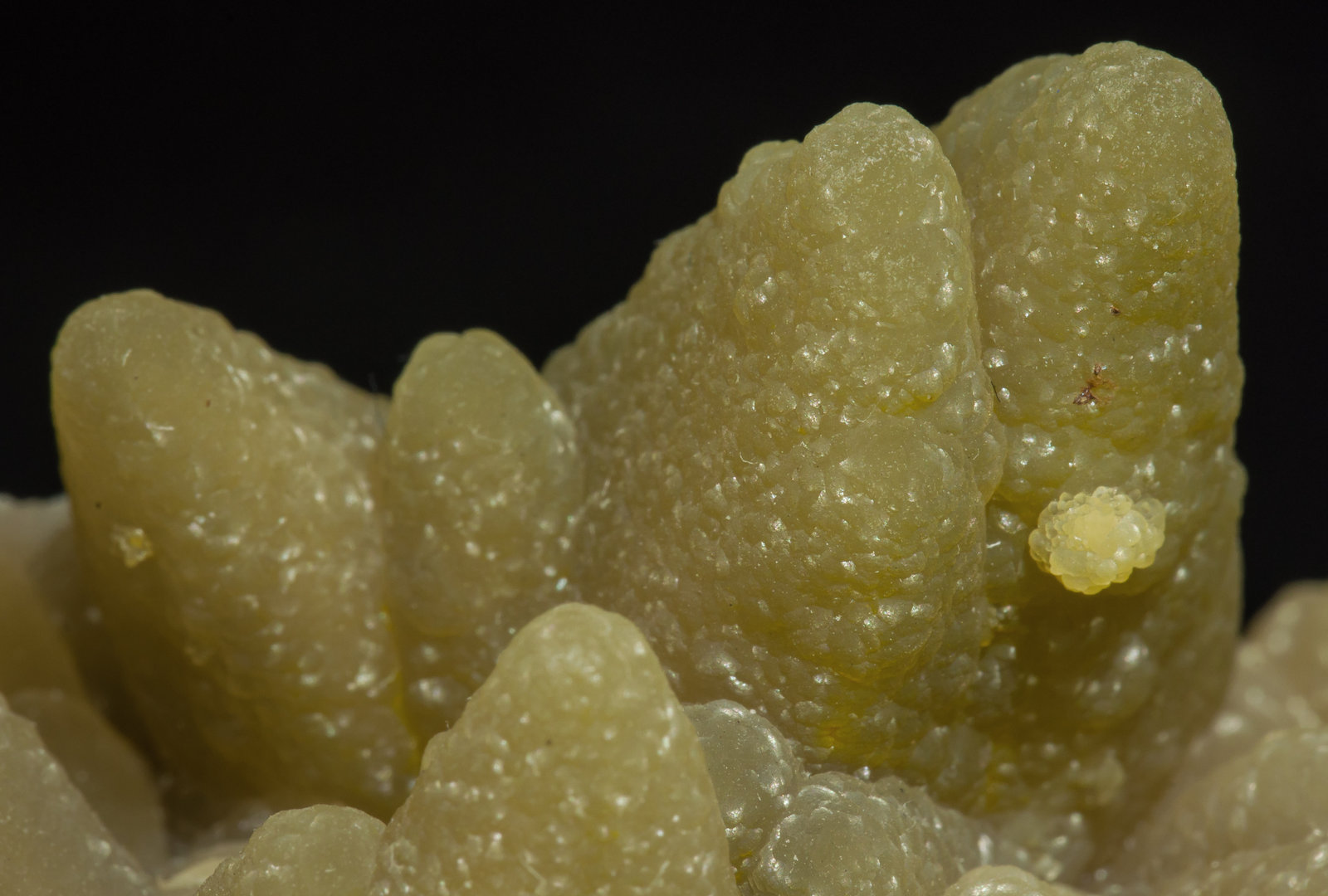 specimens/s_imagesAD5/Smithsonite-TC89AD5d.jpg