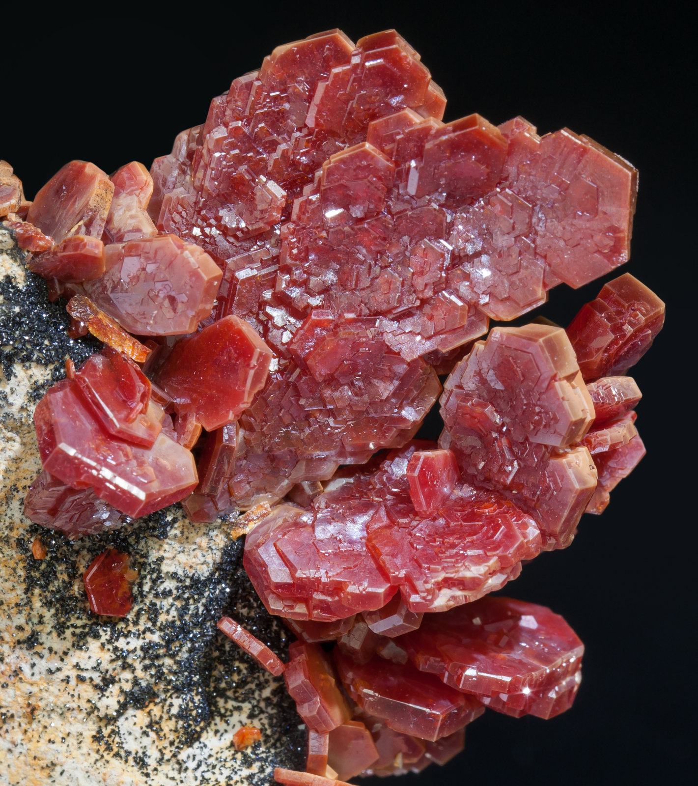 specimens/s_imagesAD6/Vanadinite-EM86AD6d.jpg