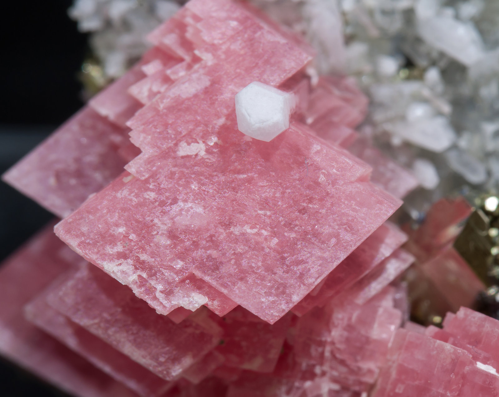 specimens/s_imagesAD8/Rhodochrosite-EY96AD8d.jpg