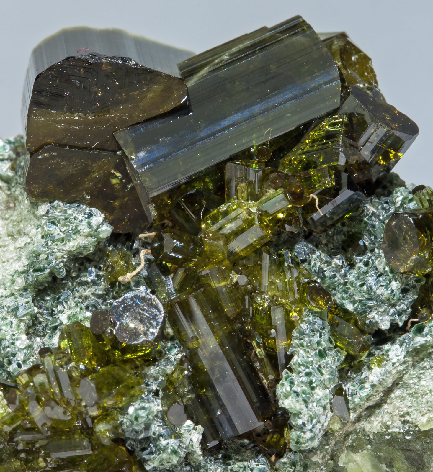specimens/s_imagesAD8/Vesuvianite-ED27AD8d.jpg