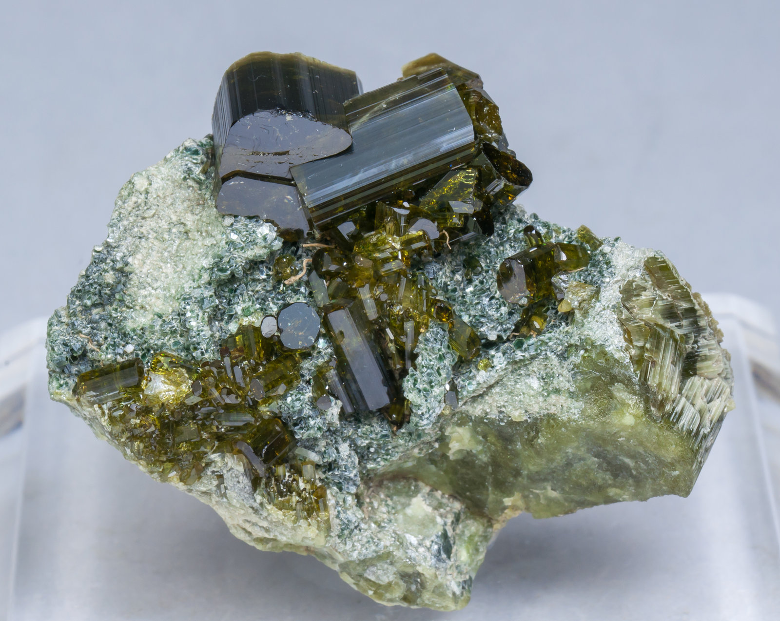 specimens/s_imagesAD8/Vesuvianite-ED27AD8f.jpg
