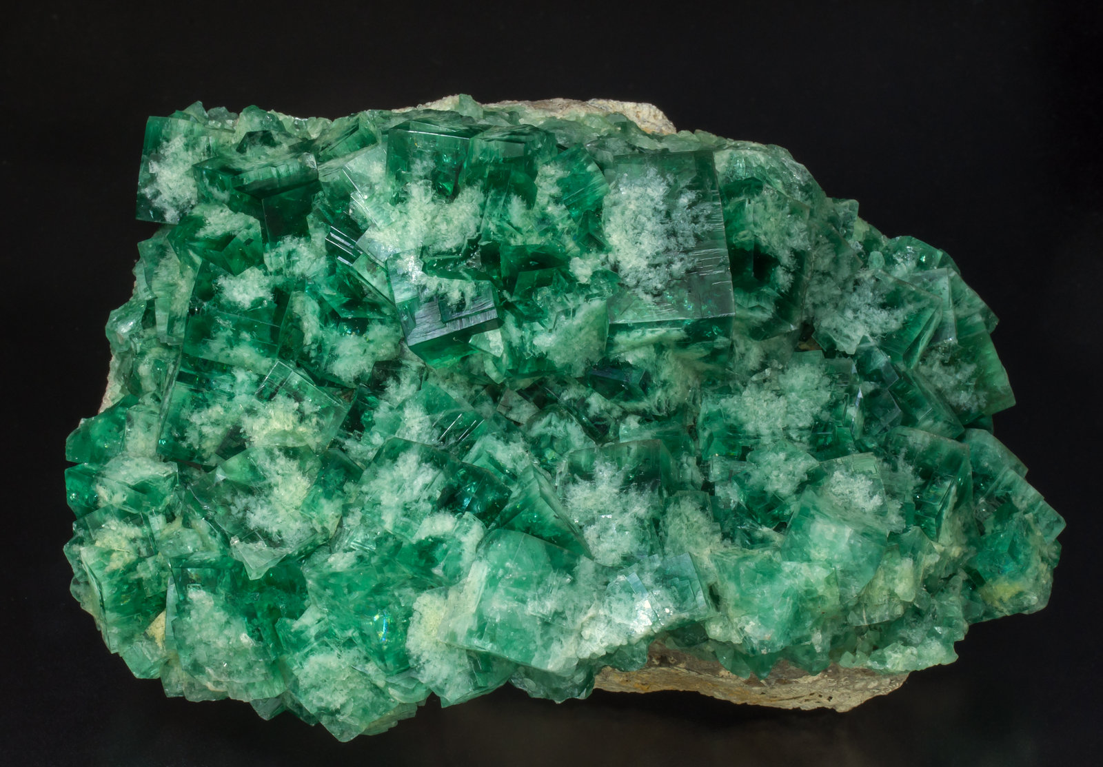 specimens/s_imagesAD9/Fluorite-CV51AD9f1.jpg