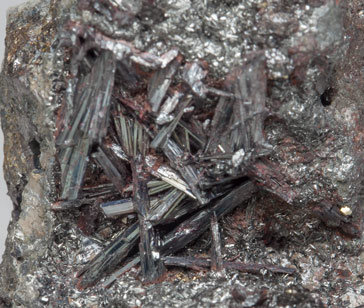 Hutchinsonite with Pyrite. 