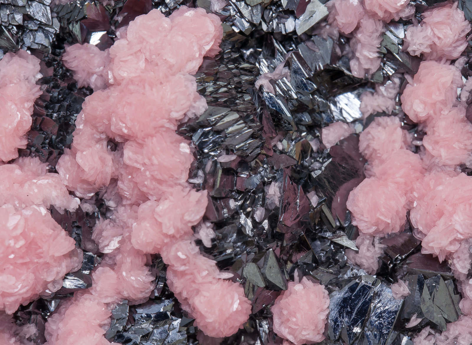 specimens/s_imagesAD9/Rhodochrosite-EM99AD9d1.jpg