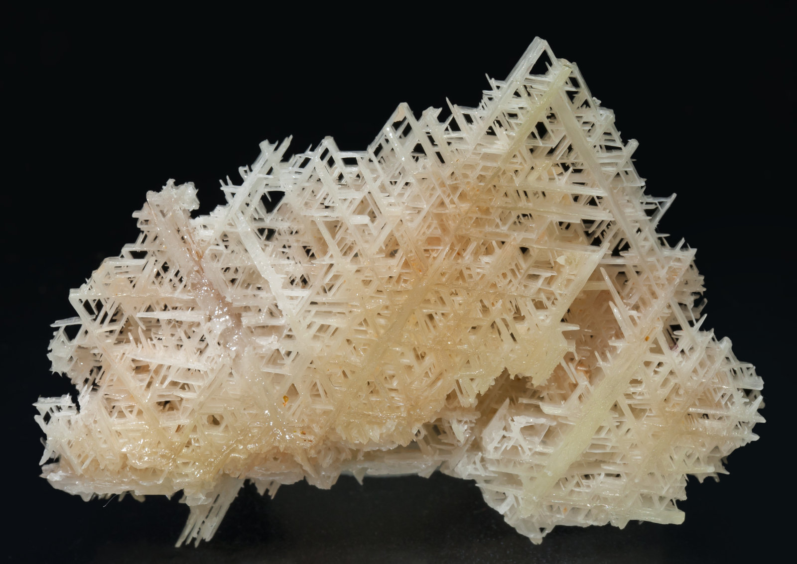 specimens/s_imagesAE0/Cerussite-NA10AE0r.jpg