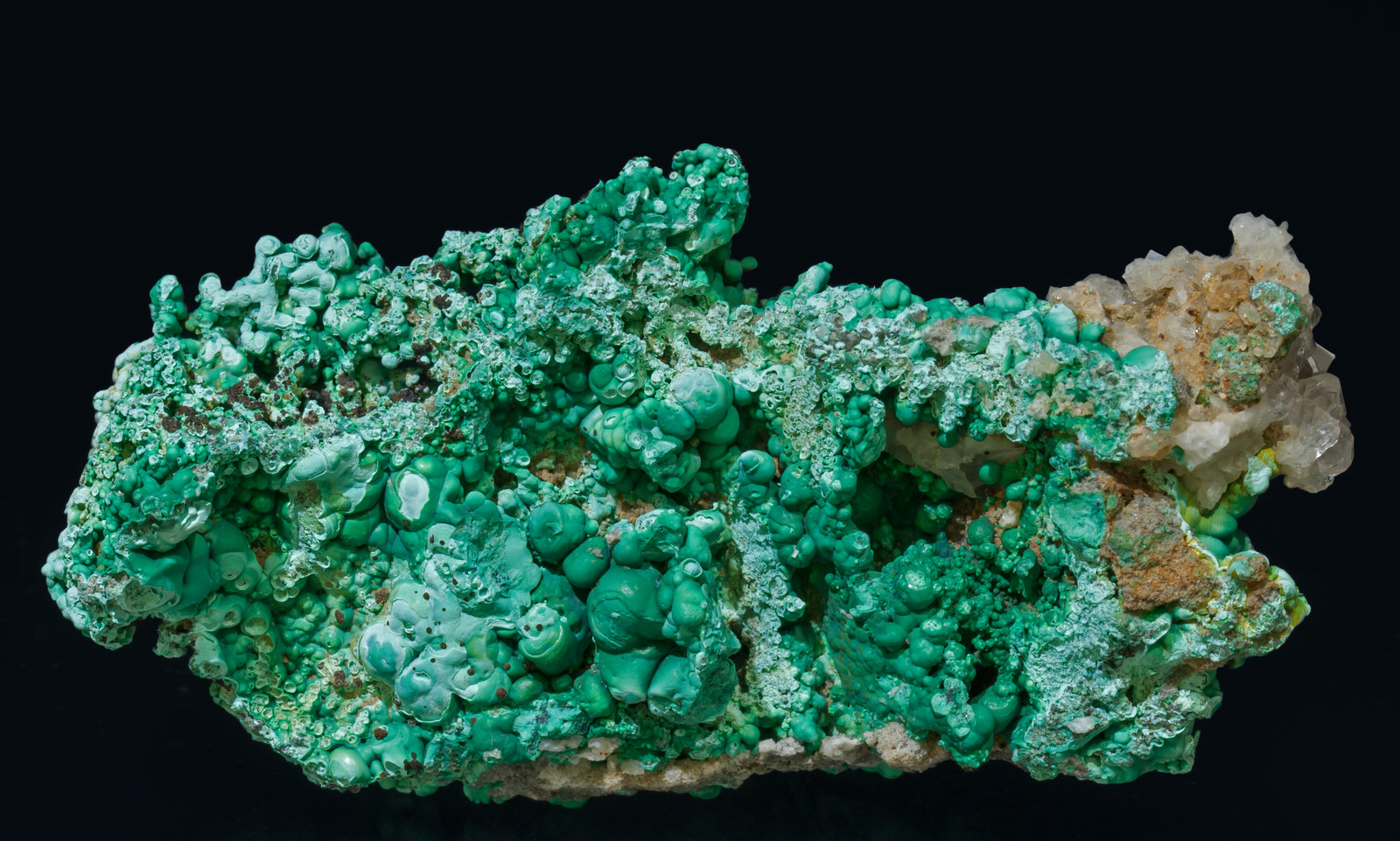 specimens/s_imagesAE0/Malachite-SE12AE0f.jpg