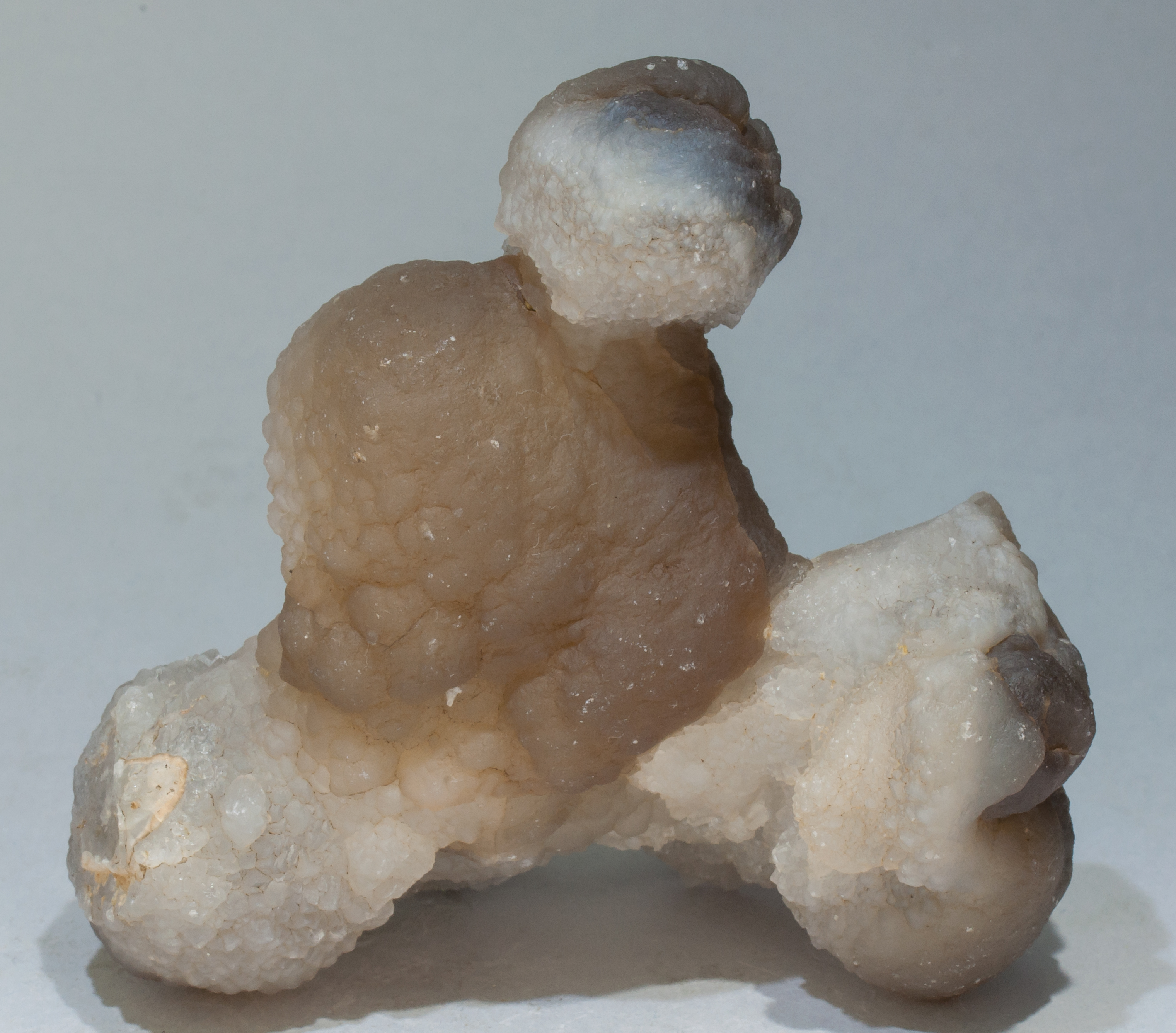 specimens/s_imagesAE0/Quartz_chalcedony-EC12AE0r.jpg