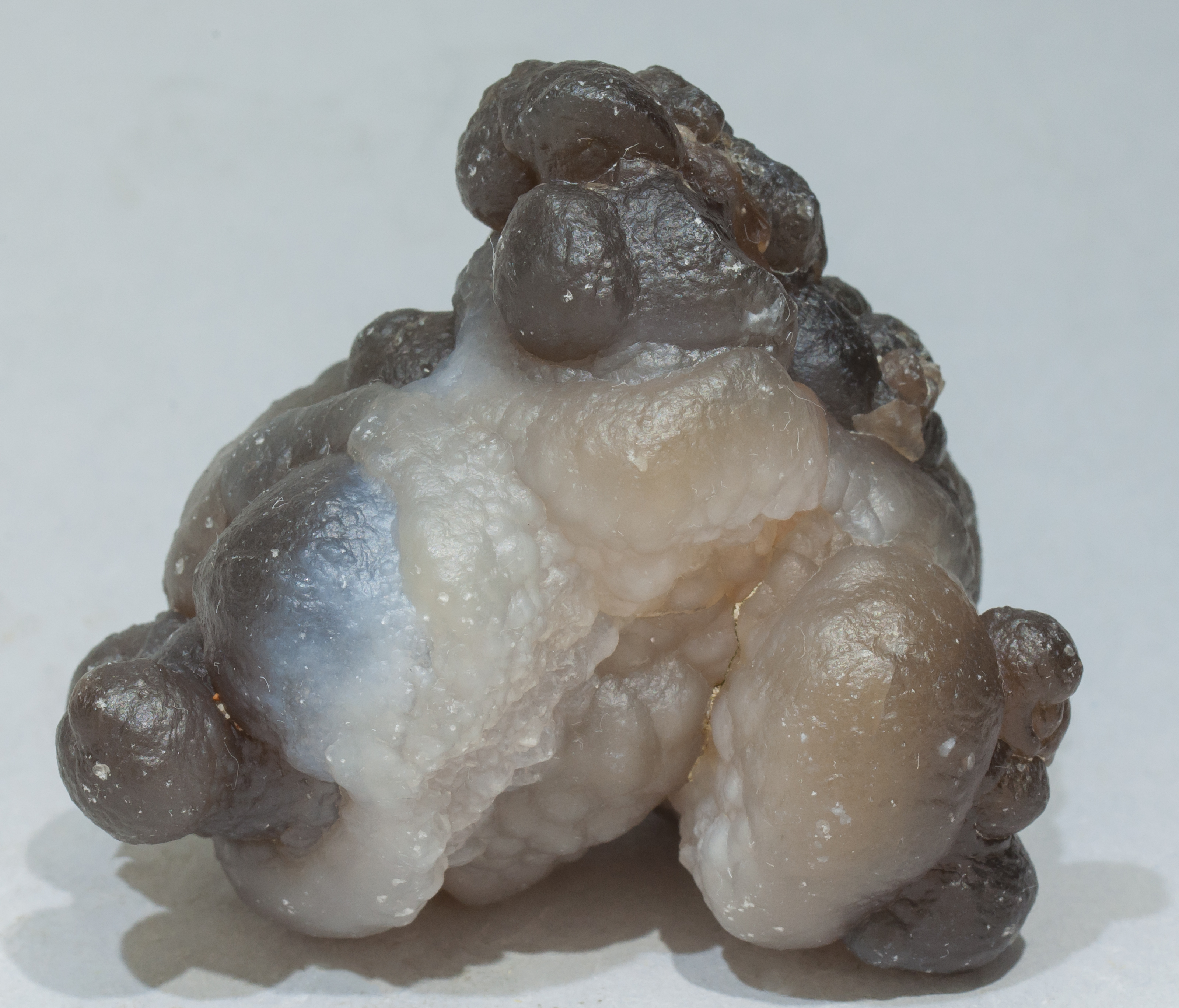 specimens/s_imagesAE0/Quartz_chalcedony-EE10AE0f.jpg