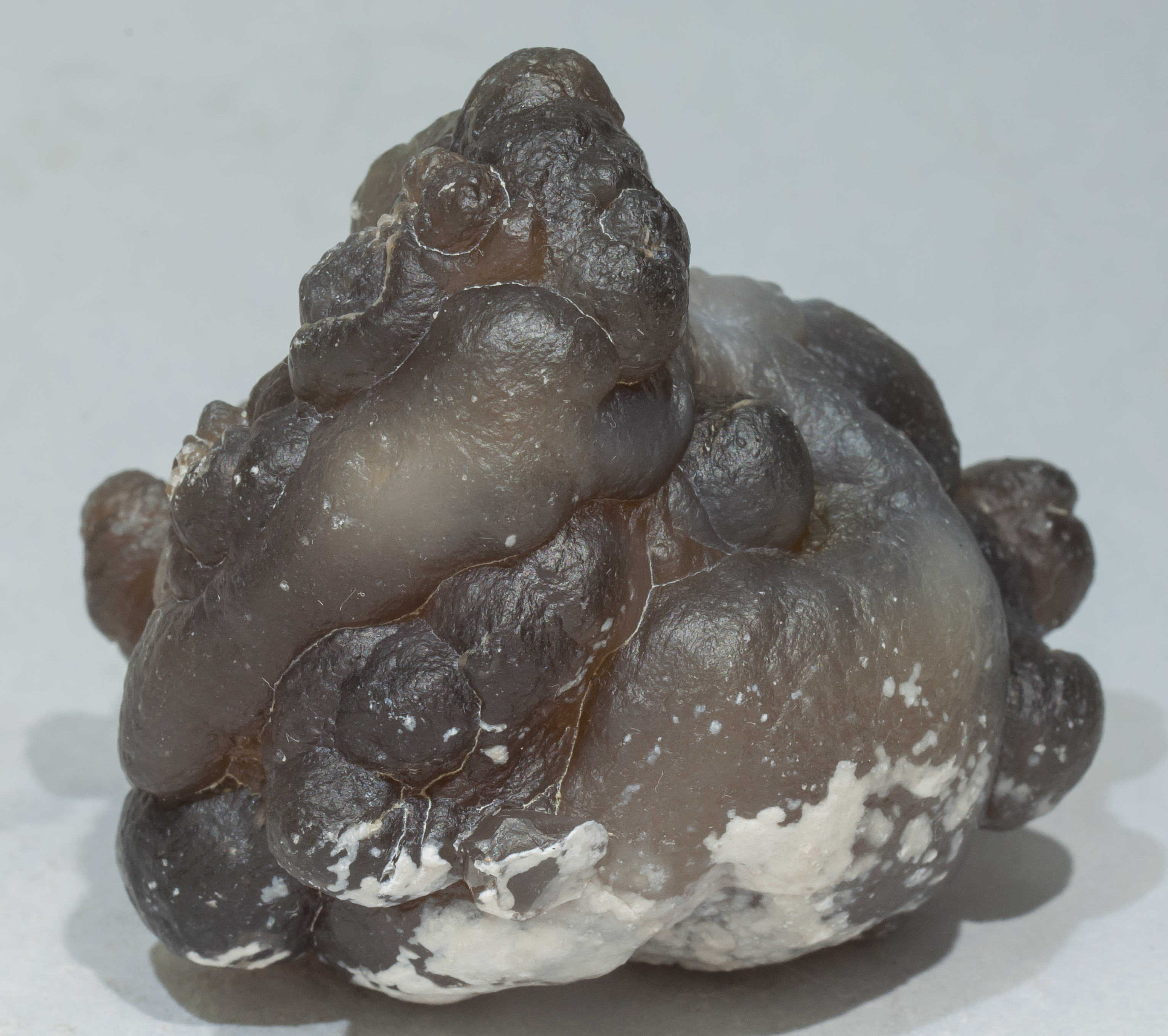 specimens/s_imagesAE0/Quartz_chalcedony-EE10AE0r.jpg