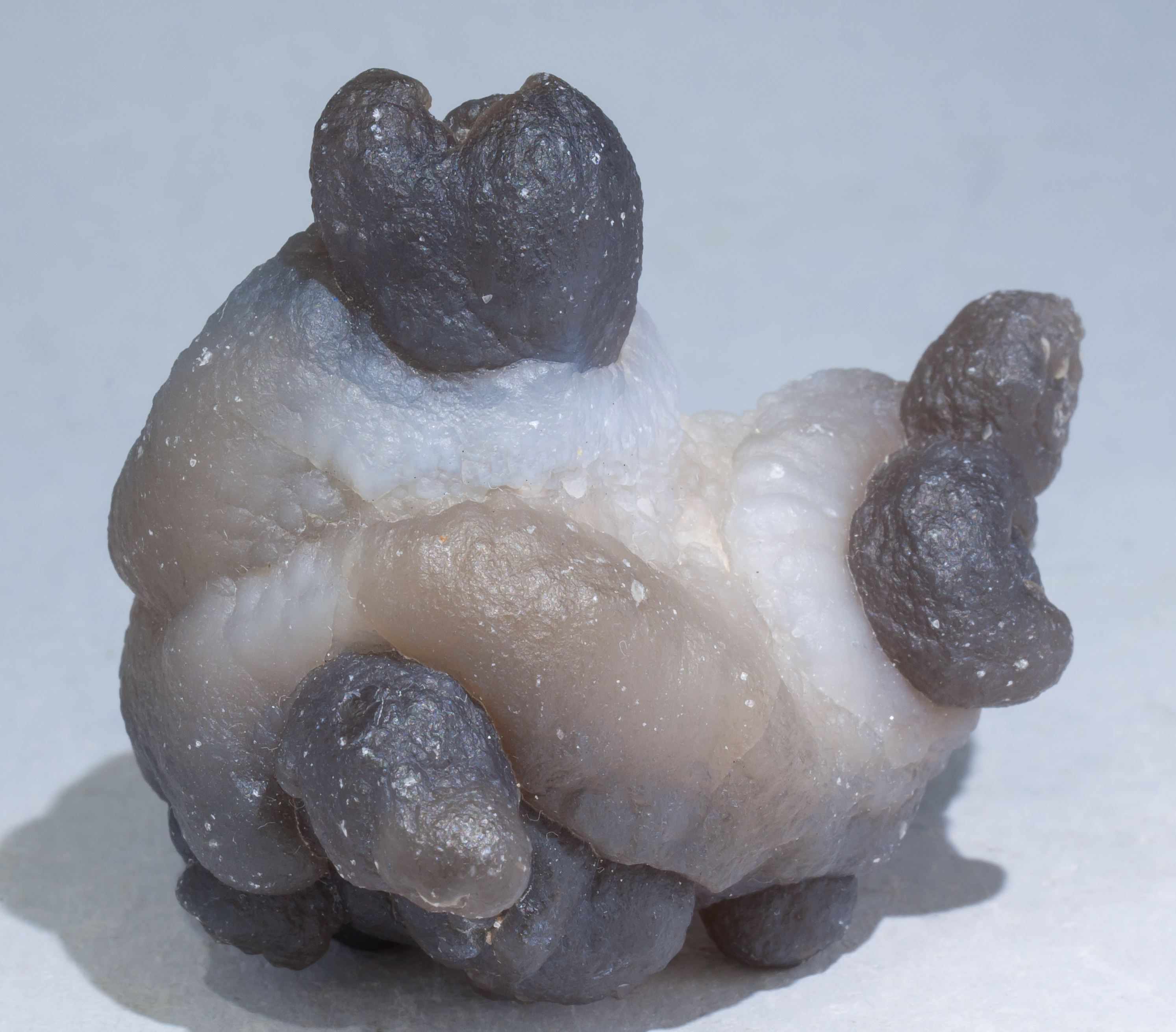 specimens/s_imagesAE0/Quartz_chalcedony-EZ10AE0f.jpg