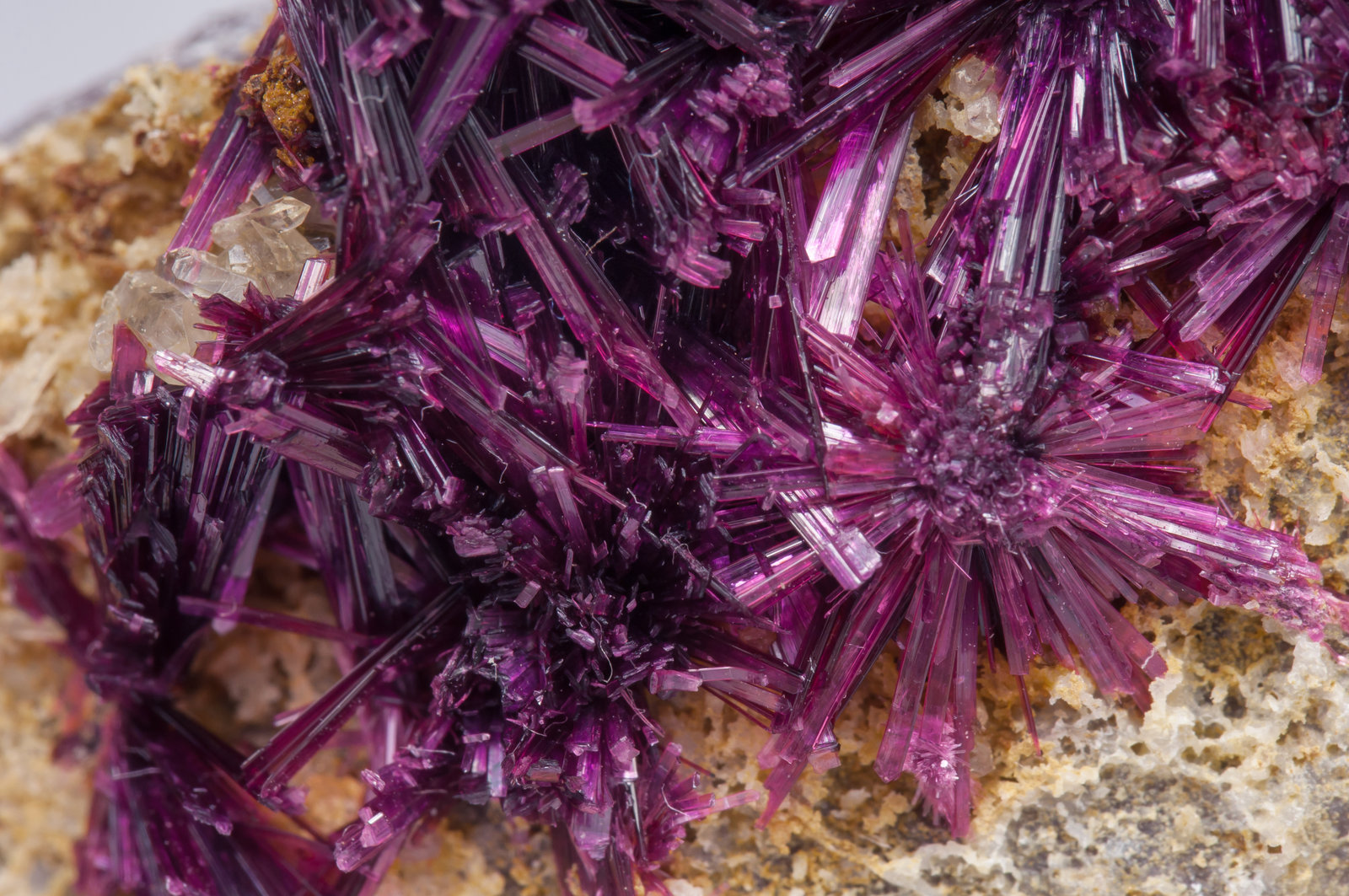 specimens/s_imagesAE1/Erythrite-EA77AE1d.jpg