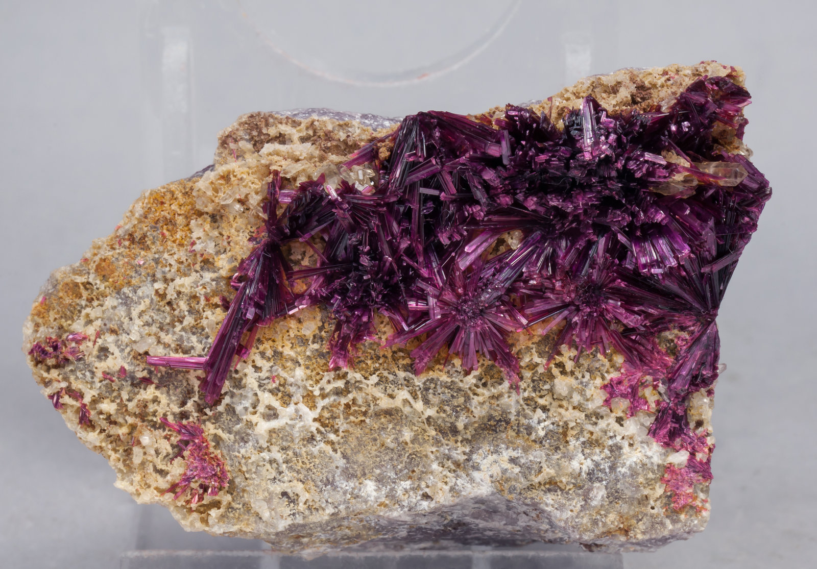 specimens/s_imagesAE1/Erythrite-EA77AE1f.jpg