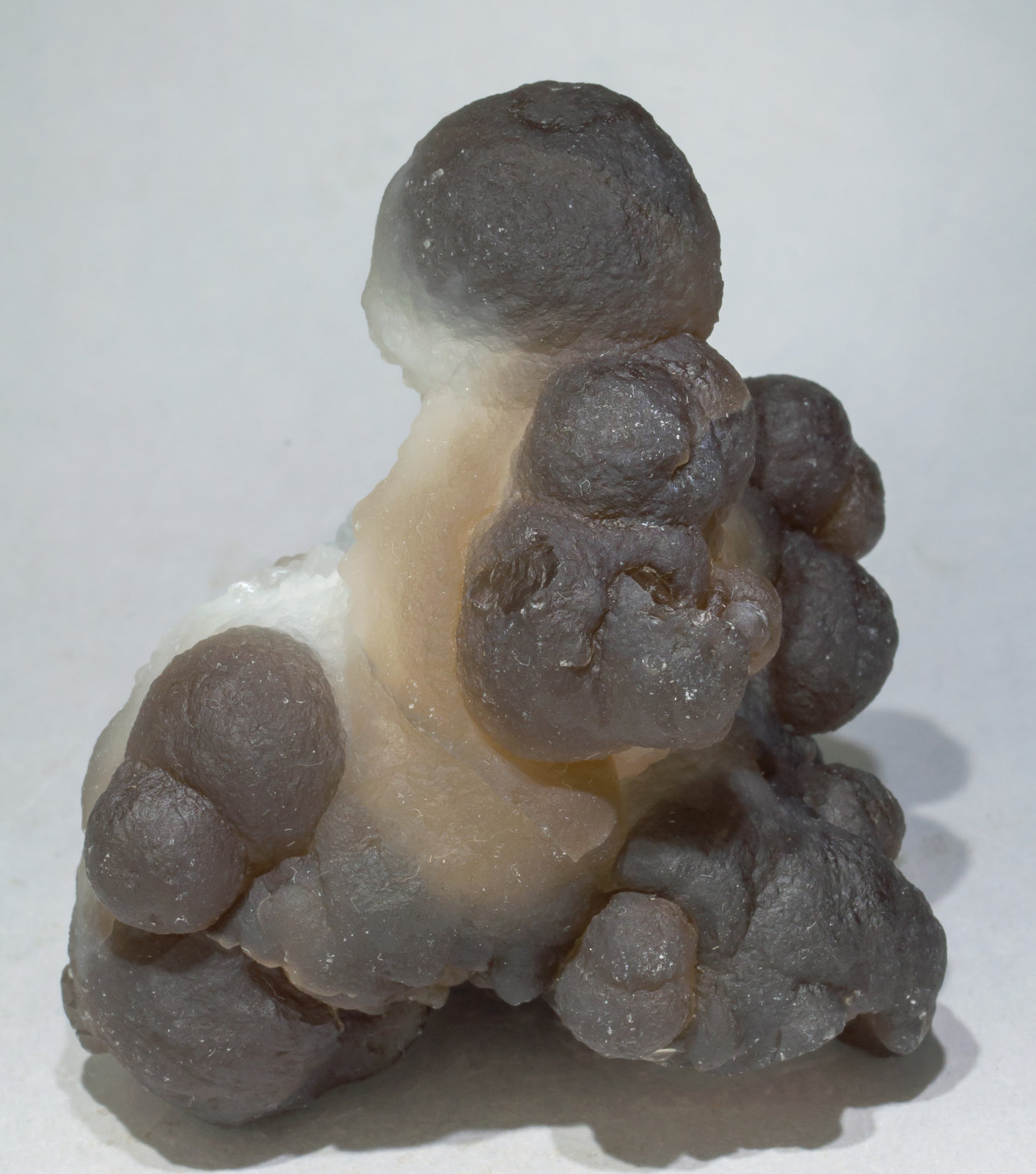 specimens/s_imagesAE1/Quartz_chalcedony-ER62AE1f.jpg