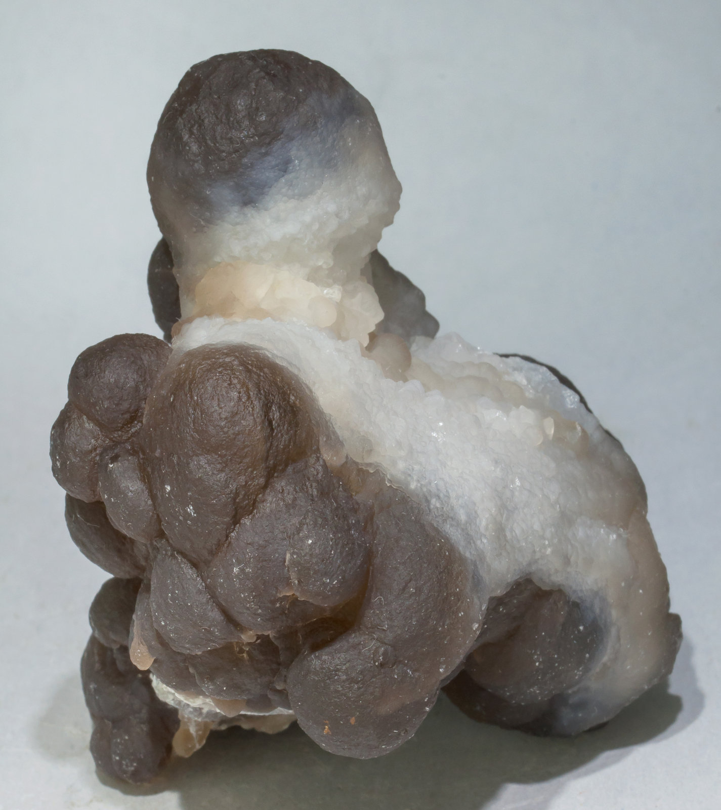 specimens/s_imagesAE1/Quartz_chalcedony-ER62AE1r.jpg