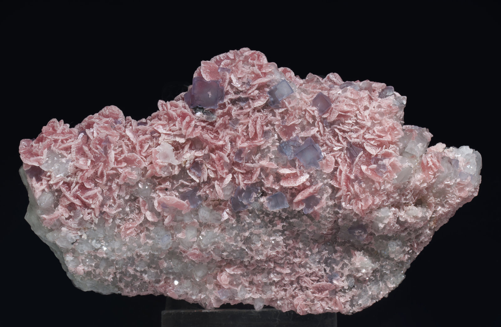 specimens/s_imagesAE2/Rhodochrosite-EF49AE2f.jpg