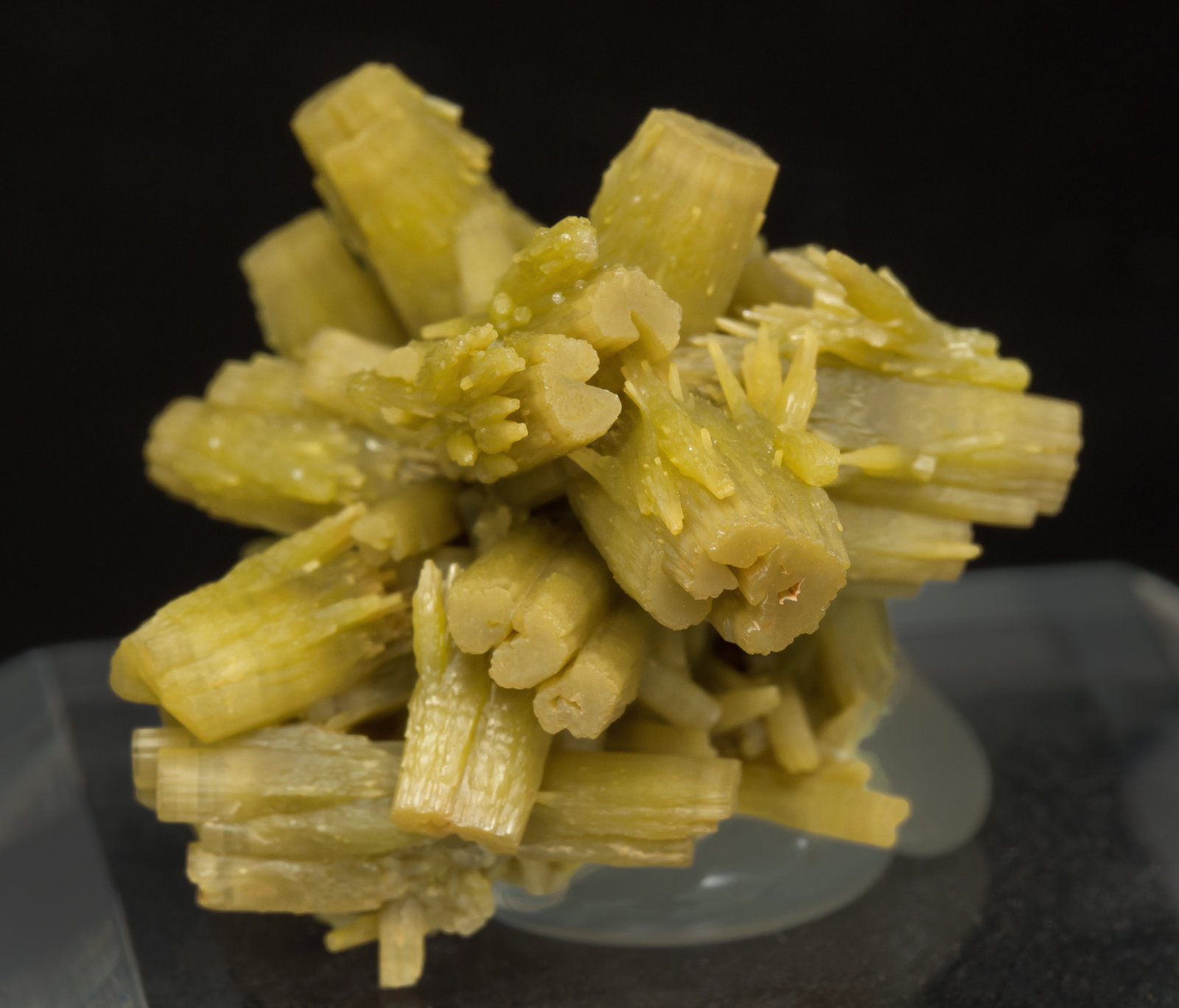 specimens/s_imagesAE3/Pyromorphite-NC26AE3s.jpg