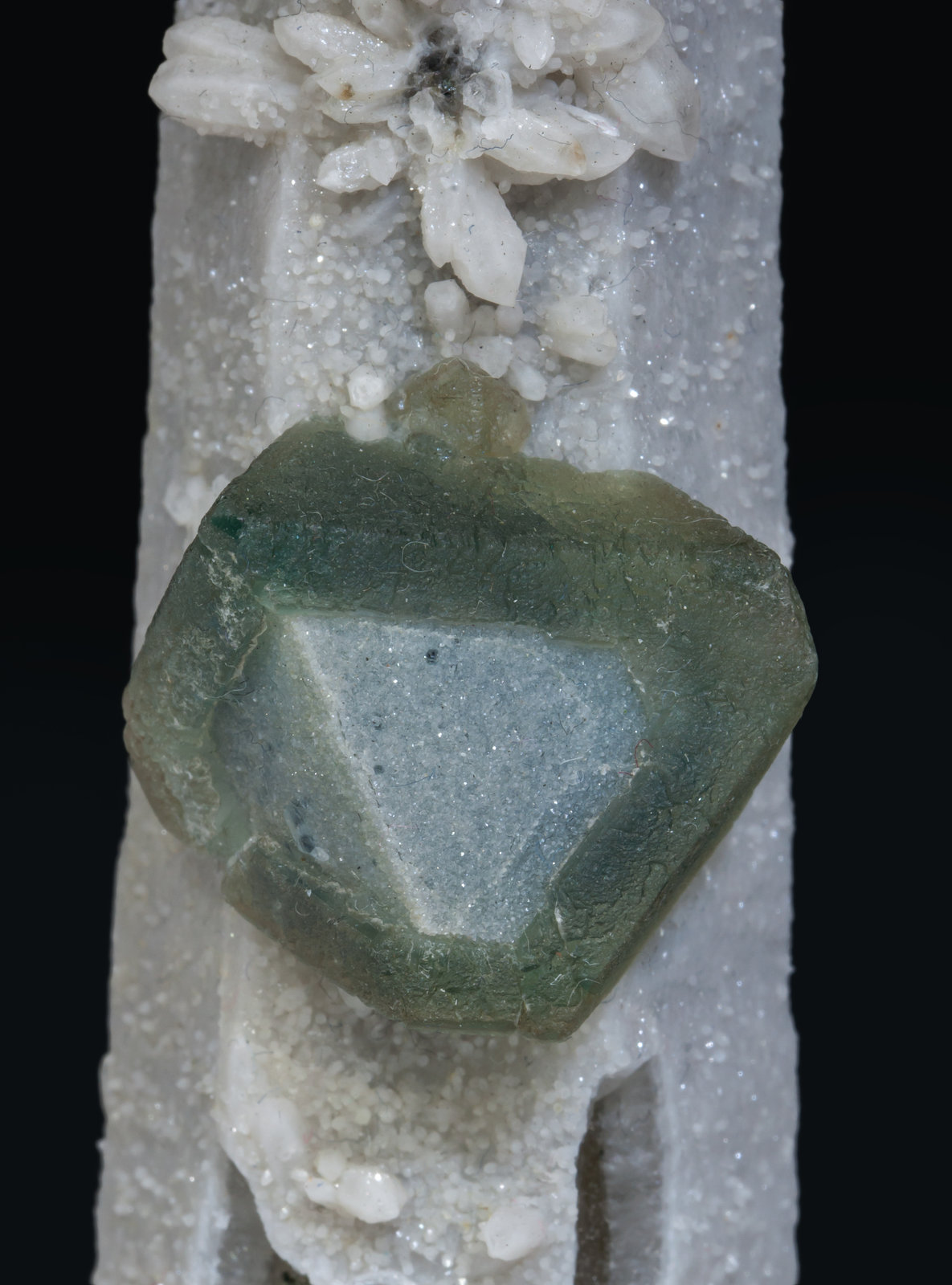 specimens/s_imagesAE4/Fluorite-ER50AE4d.jpg
