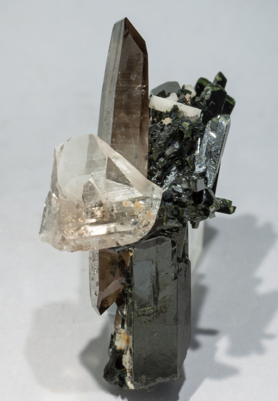 specimens/s_imagesAE4/Quartz_smoky-EA76AE4s.jpg