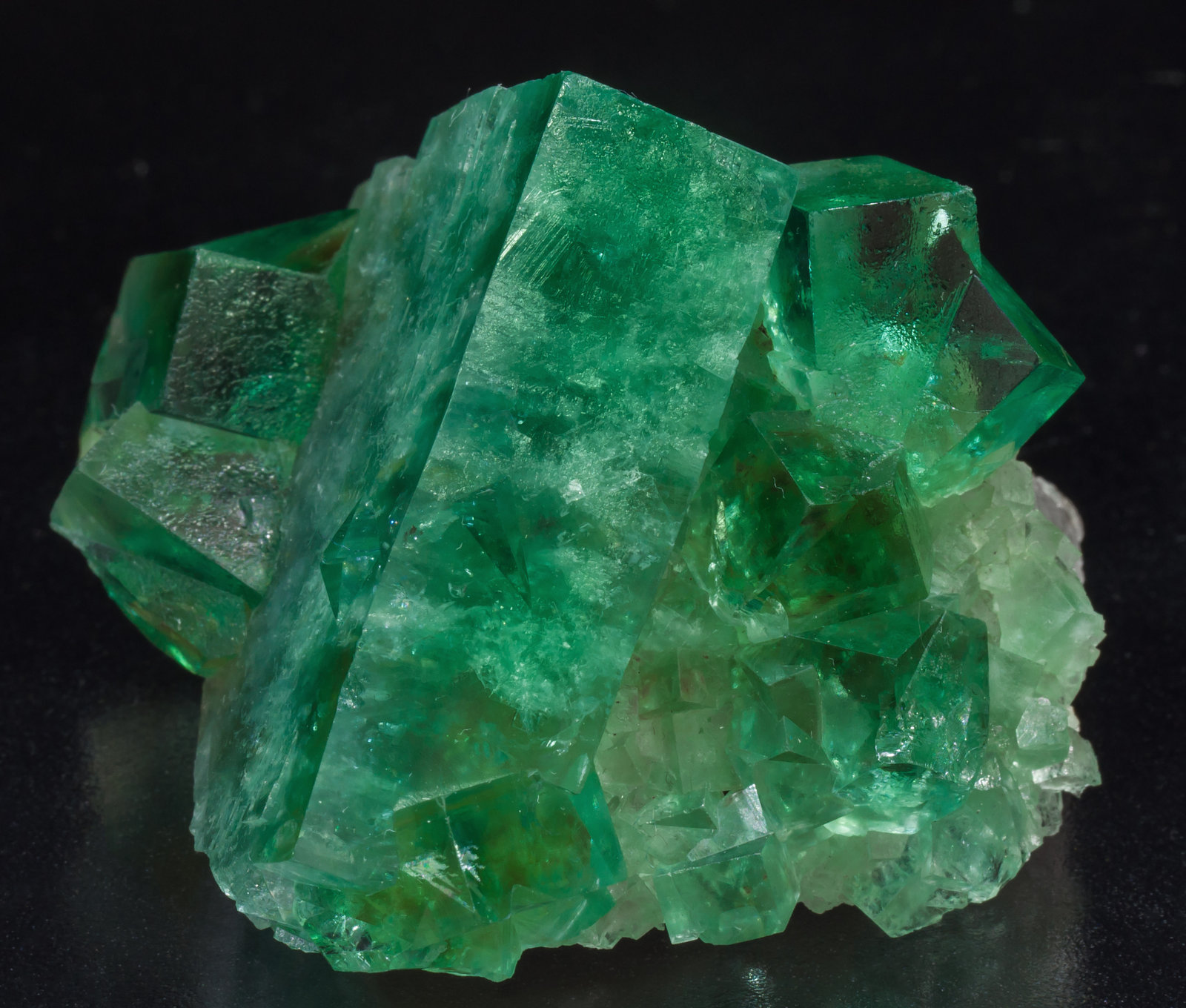 specimens/s_imagesAE5/Fluorite-EE49AE5s.jpg