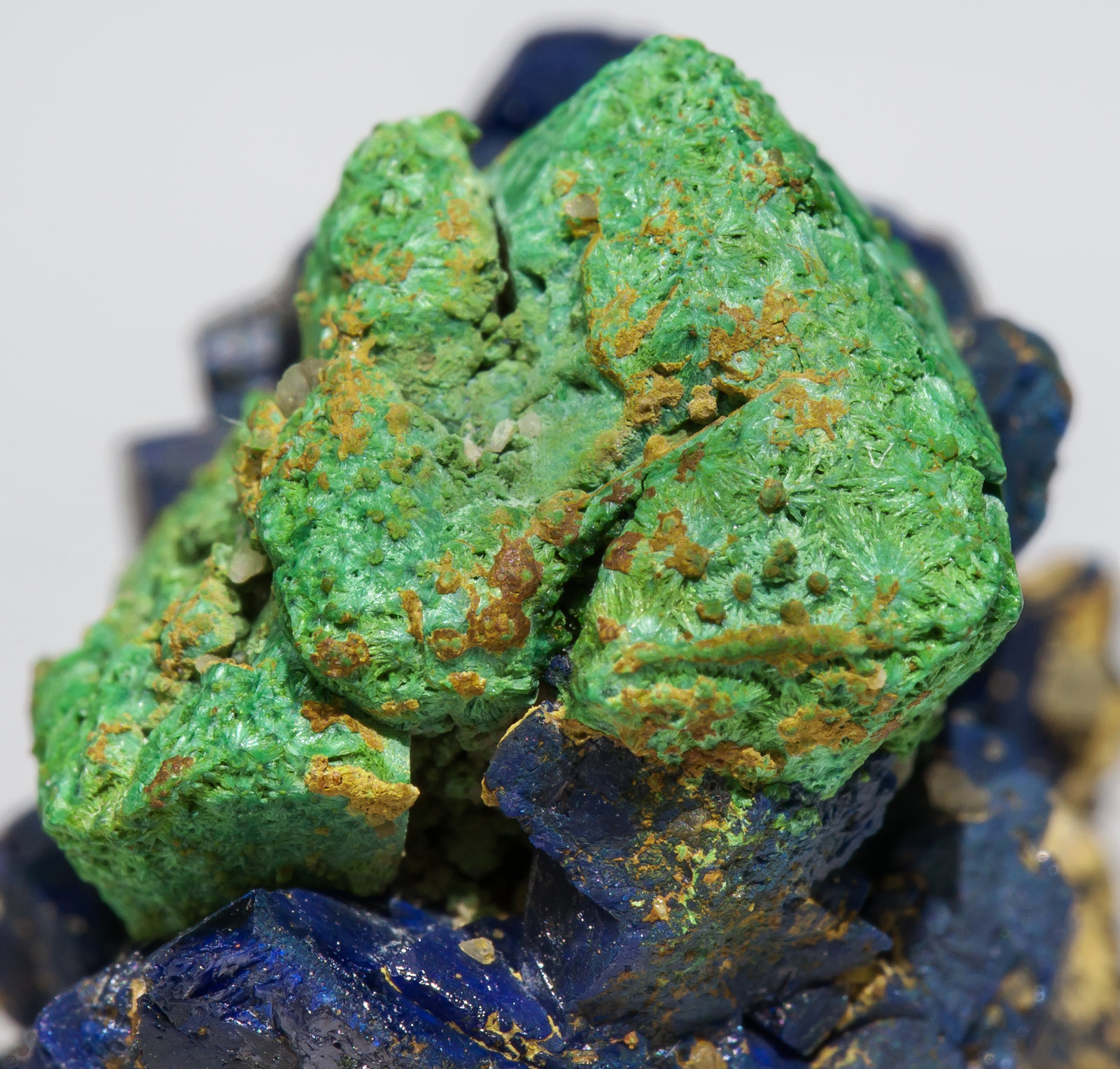 specimens/s_imagesAE5/Malachite-EJ47AE5d.jpg