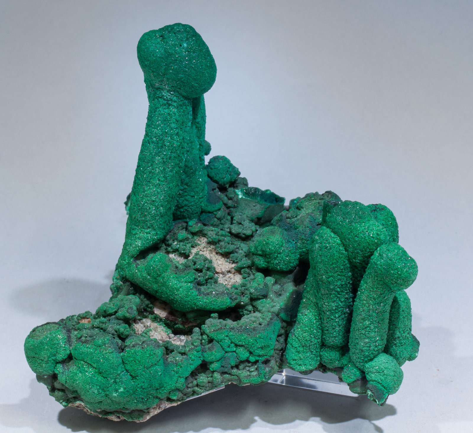 specimens/s_imagesAE5/Malachite-TP57AE5f.jpg