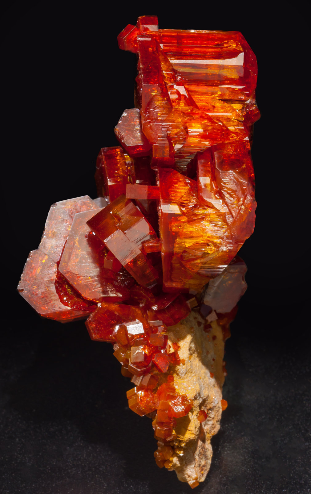 specimens/s_imagesAE5/Vanadinite-EK94AE5s.jpg