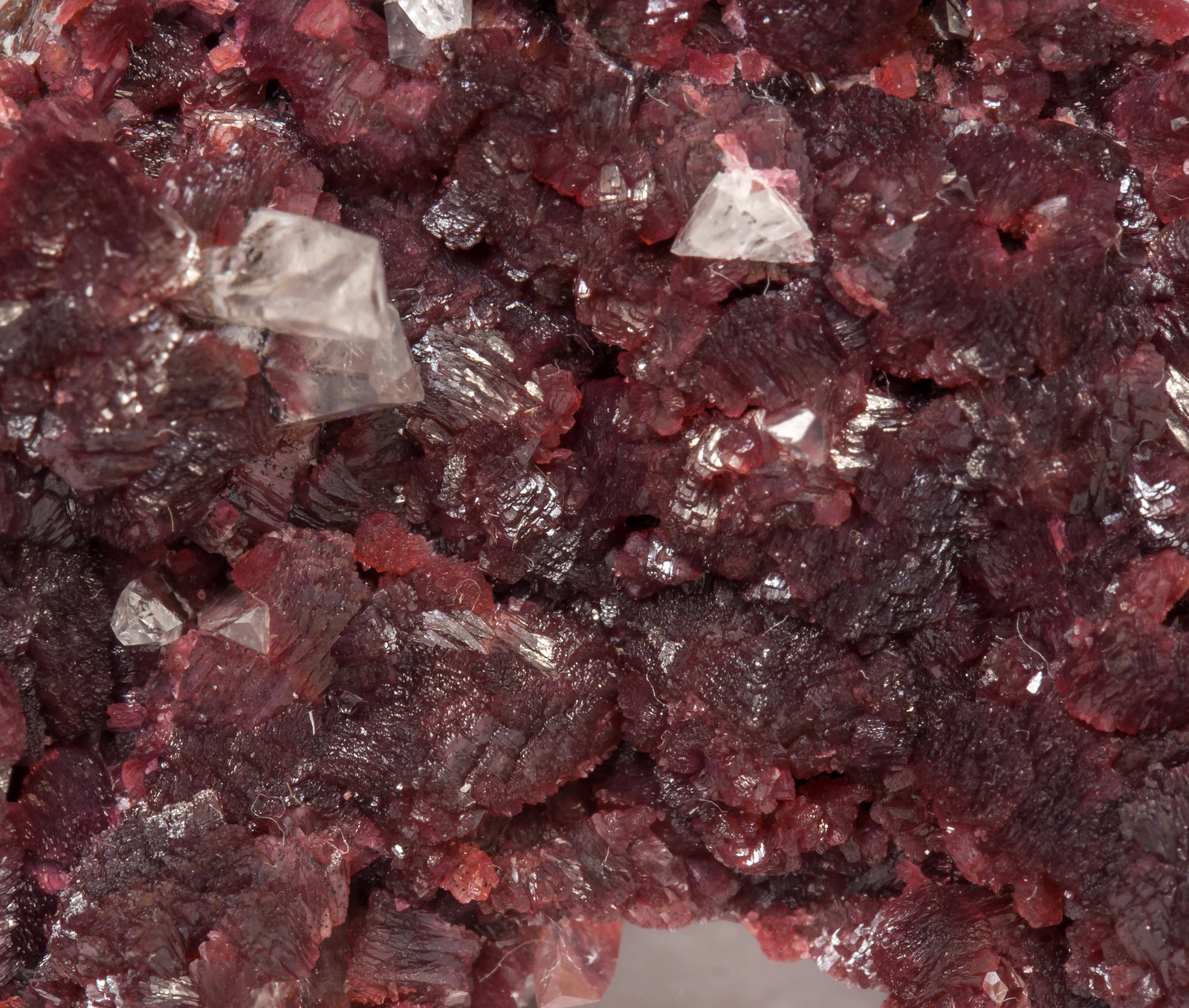 specimens/s_imagesAE6/Beta-Roselite-MK56AE6d.jpg