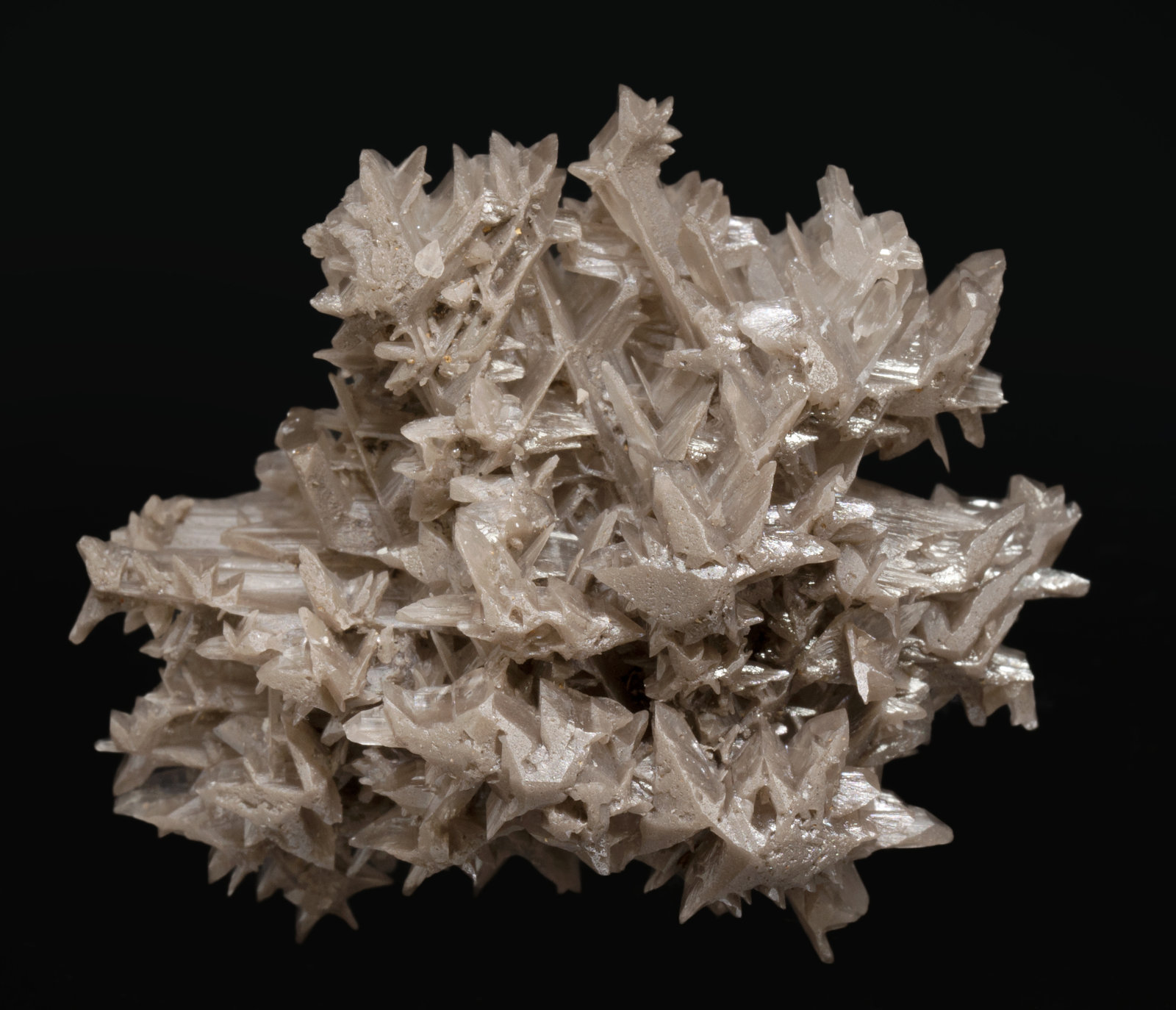 specimens/s_imagesAE6/Cerussite-TK27AE6f.jpg