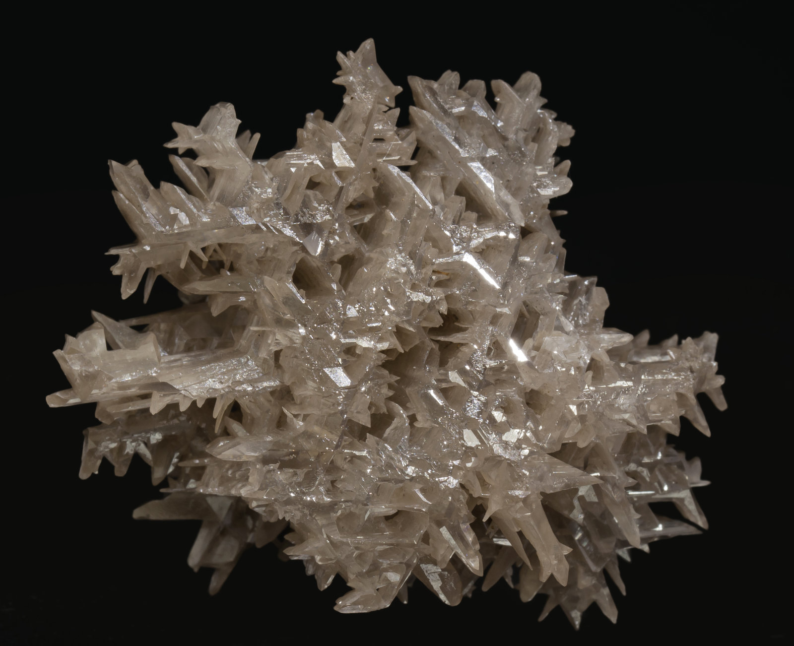 specimens/s_imagesAE6/Cerussite-TK27AE6r.jpg