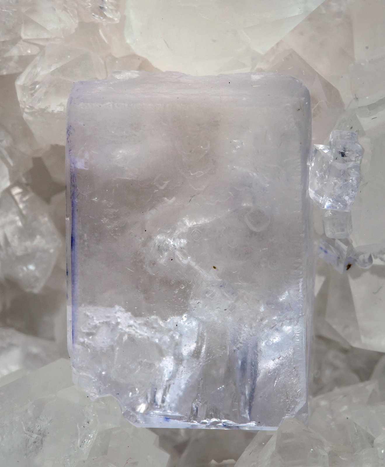 specimens/s_imagesAE7/Fluorite-NT89AE7d.jpg